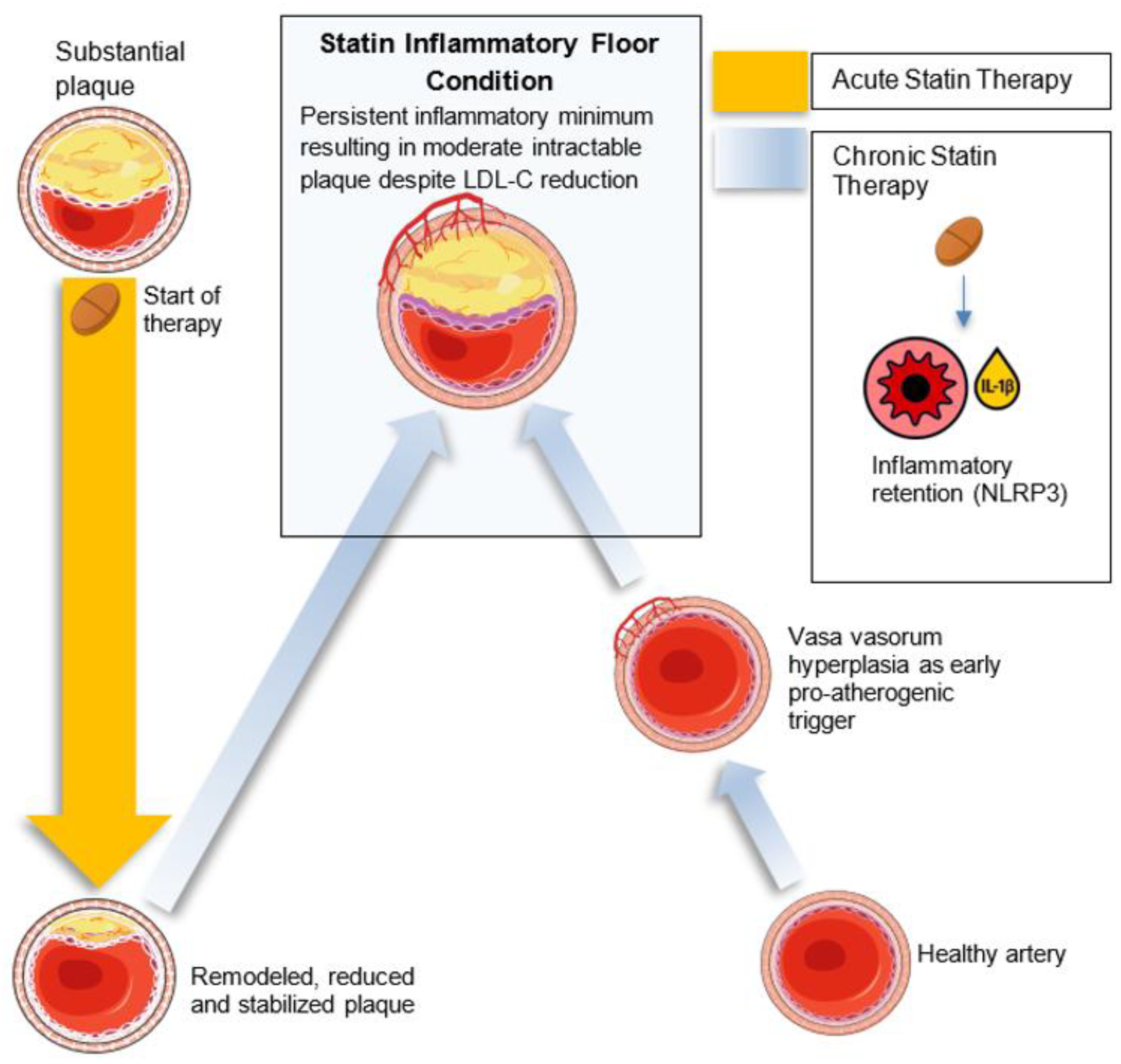 Preprints 179030 g001
