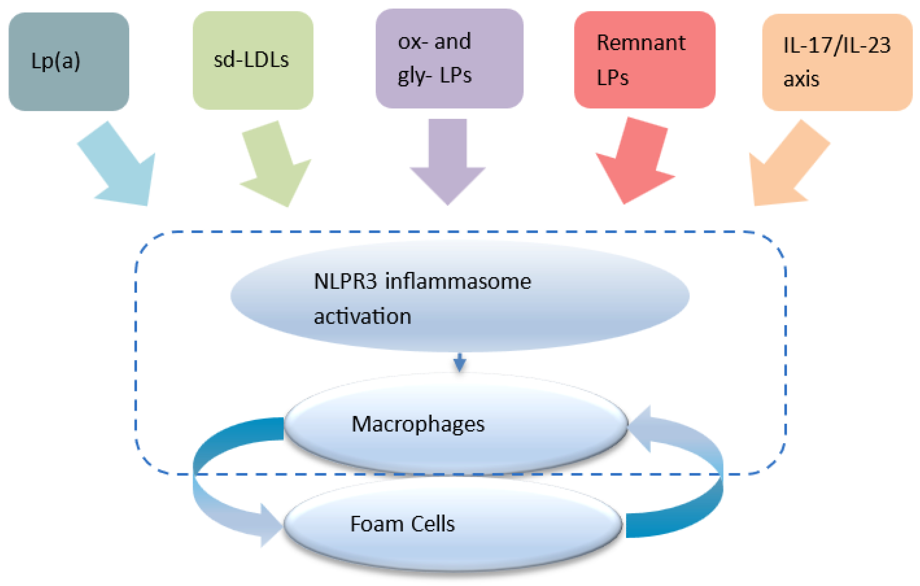 Preprints 179030 g004
