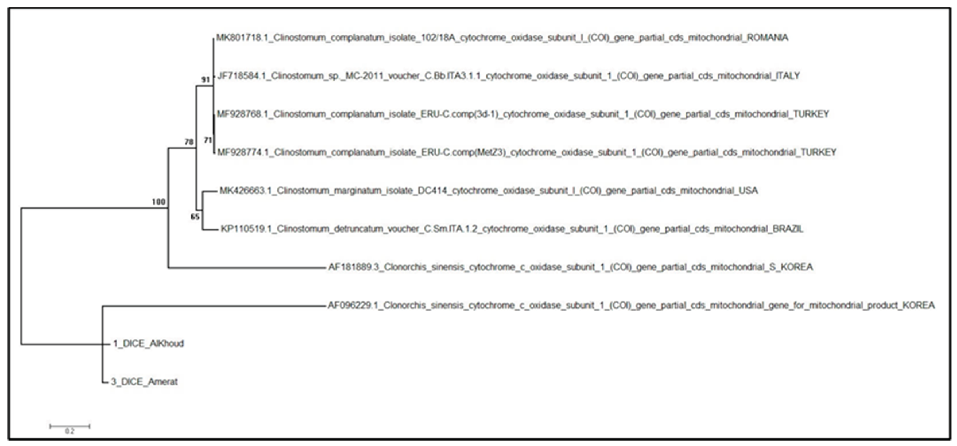 Preprints 222579 g003 Preprints 222579 g003