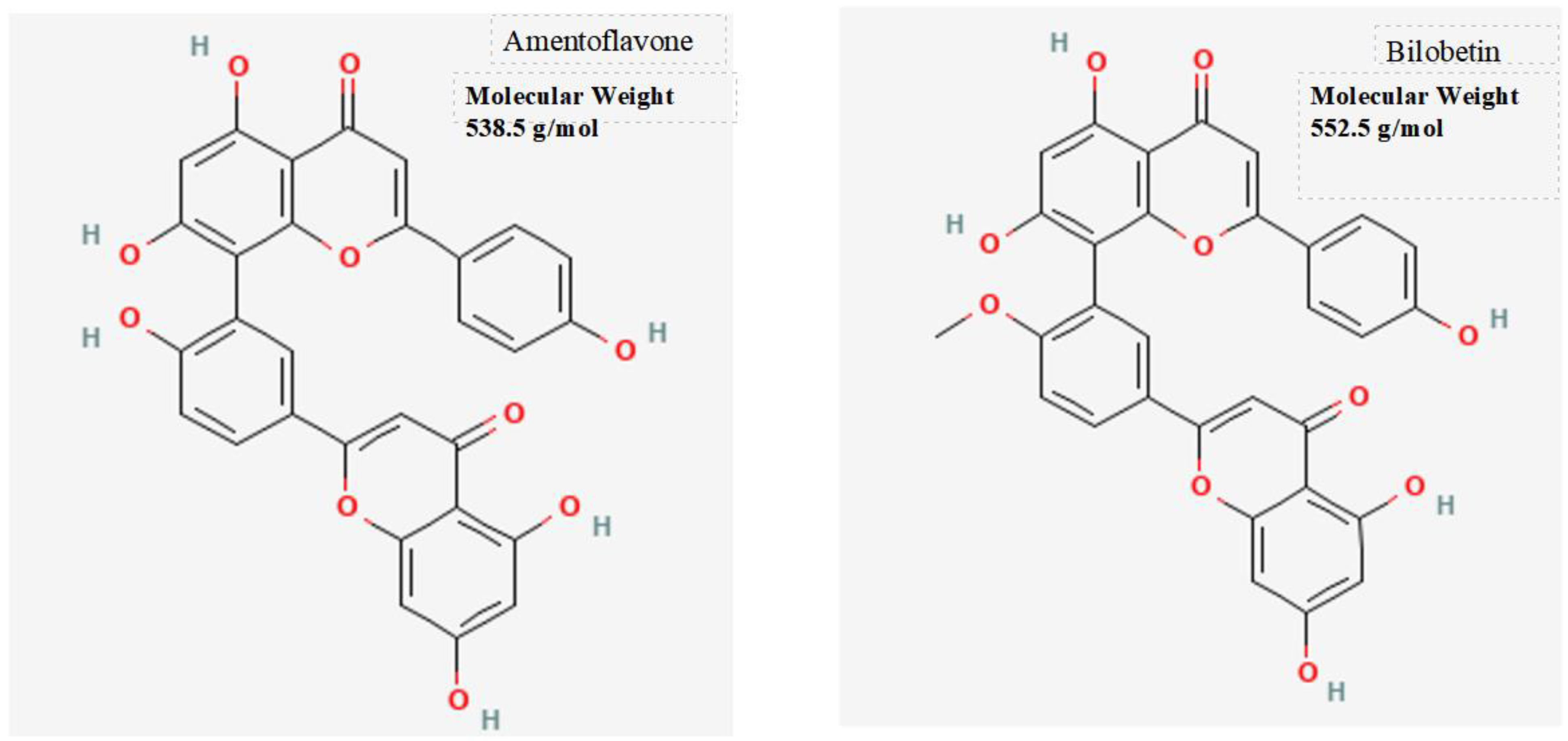 Preprints 92795 g002