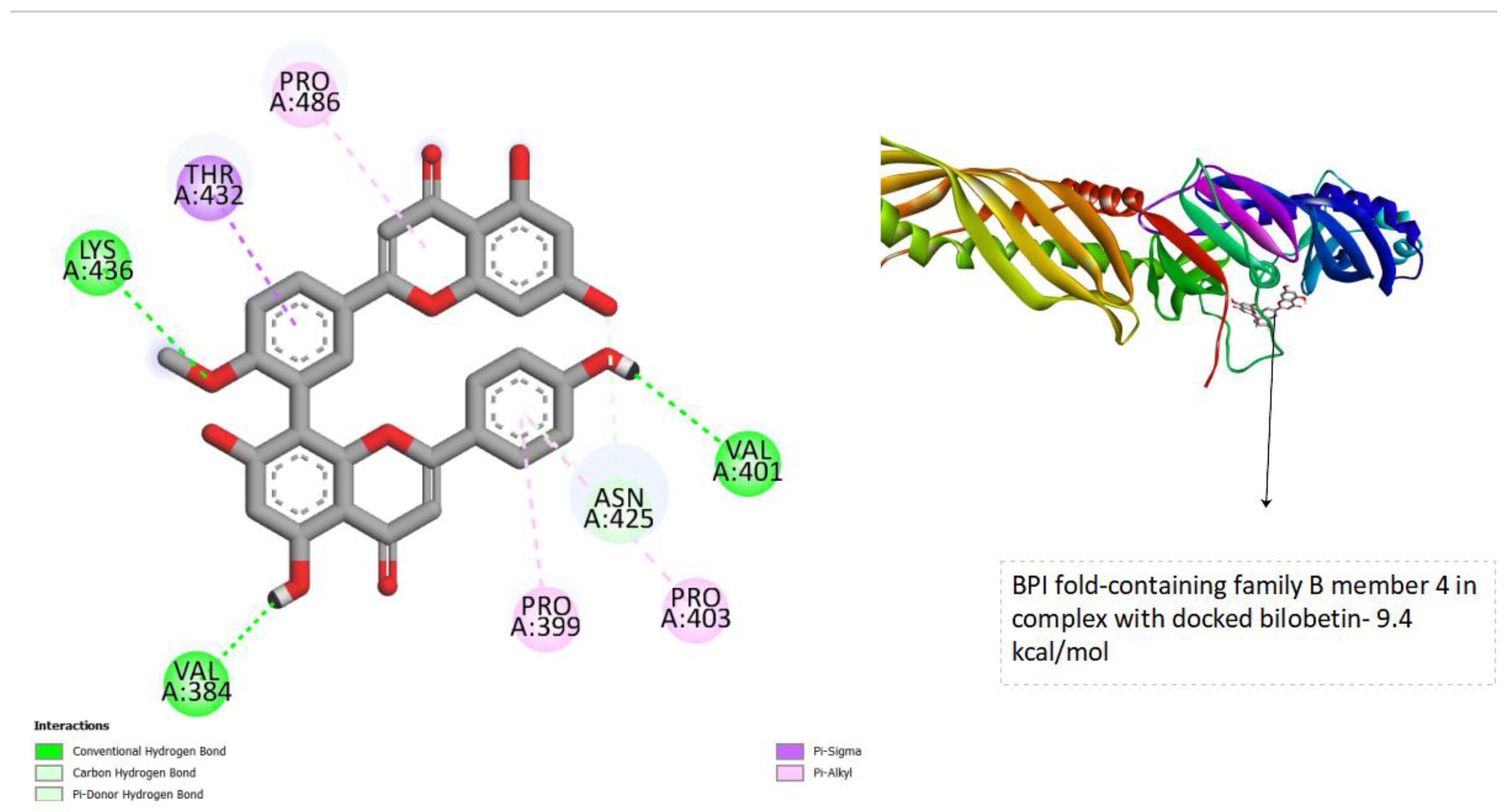 Preprints 92795 g004