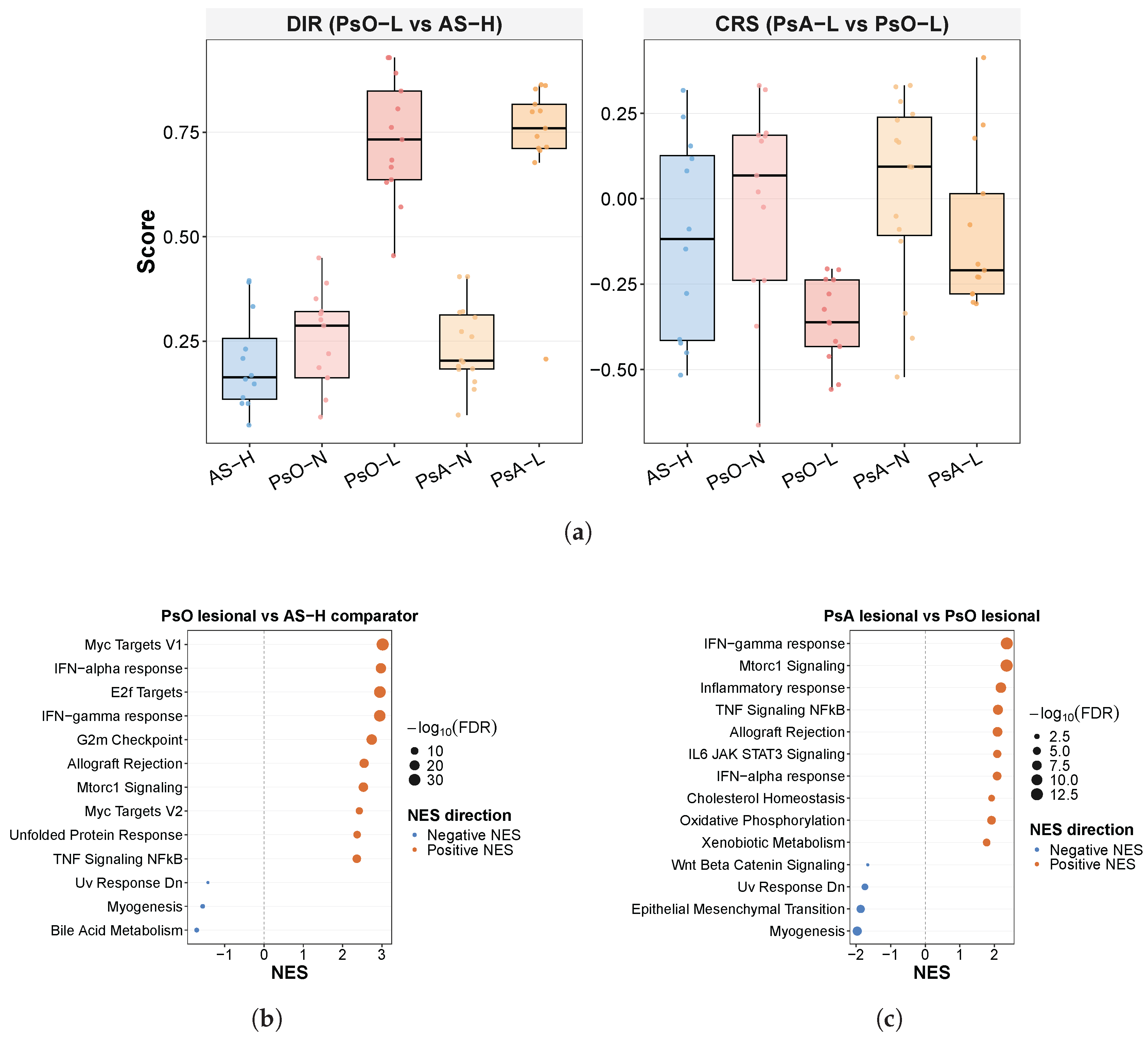 Preprints 210389 g004