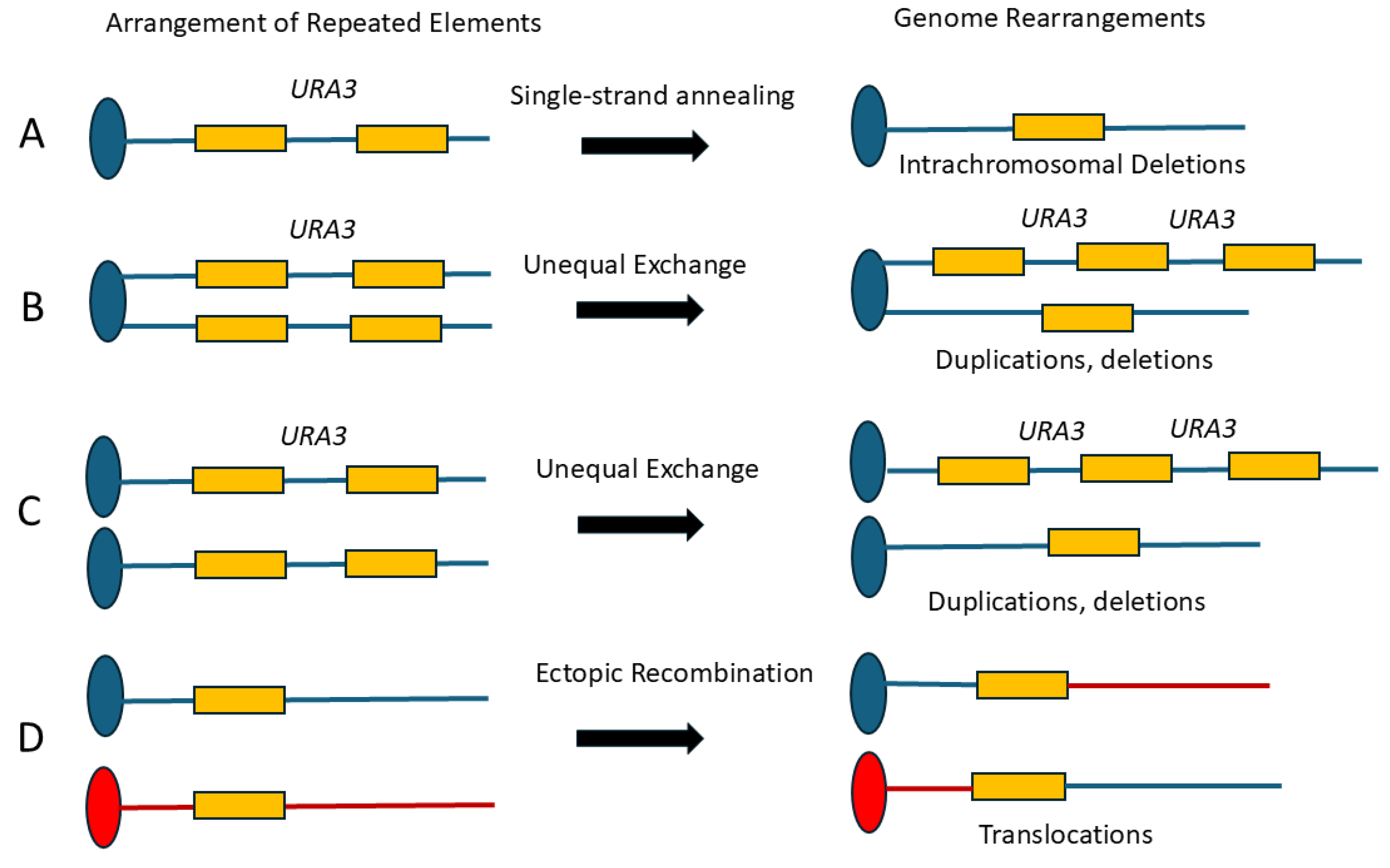 Preprints 192558 g002
