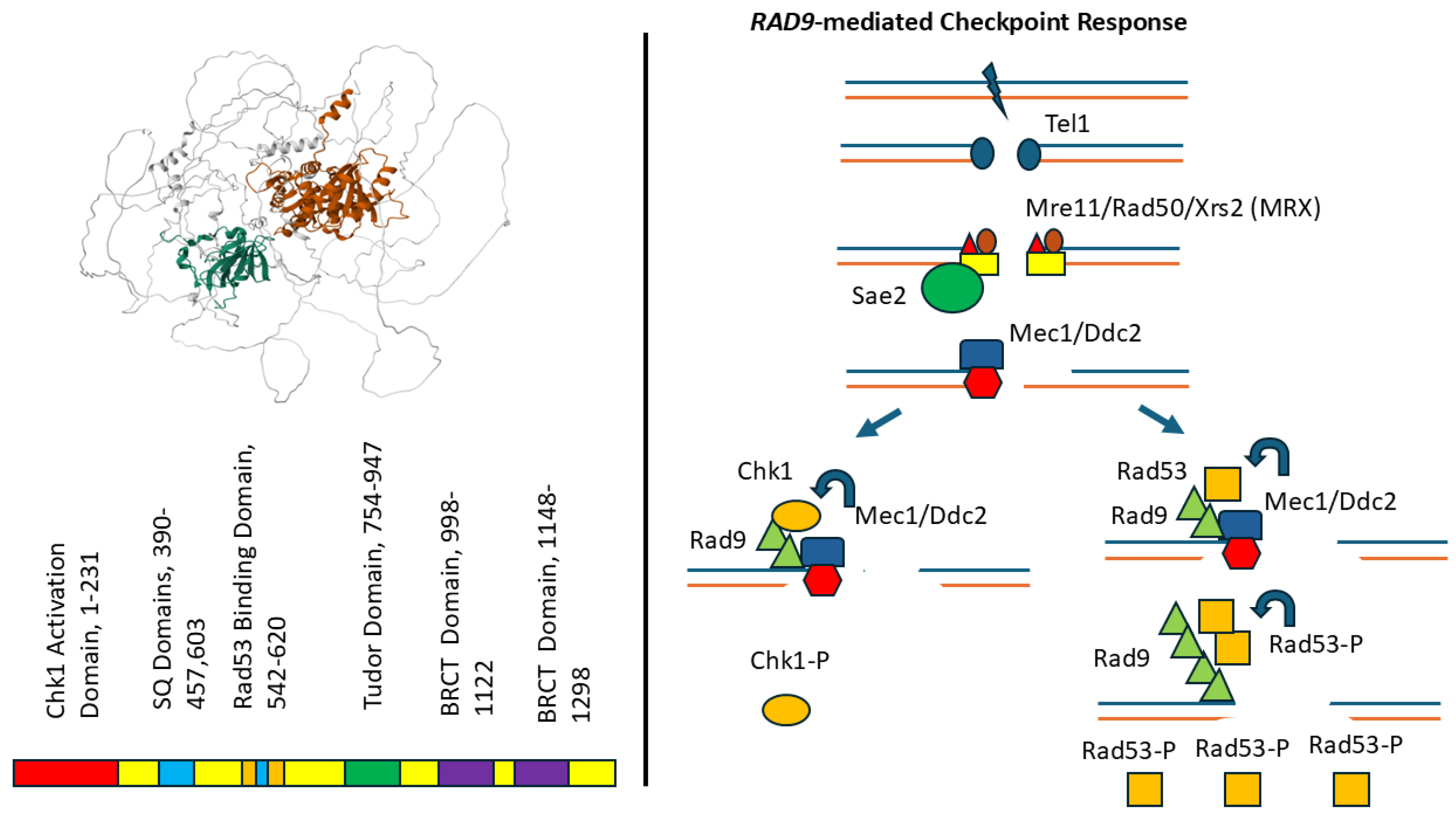 Preprints 192558 g003
