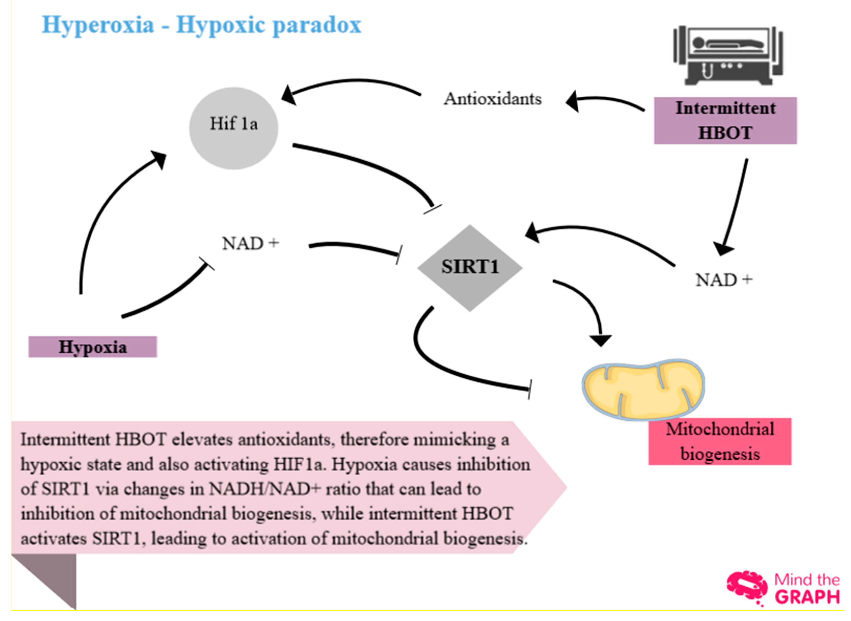 Preprints 174148 g001