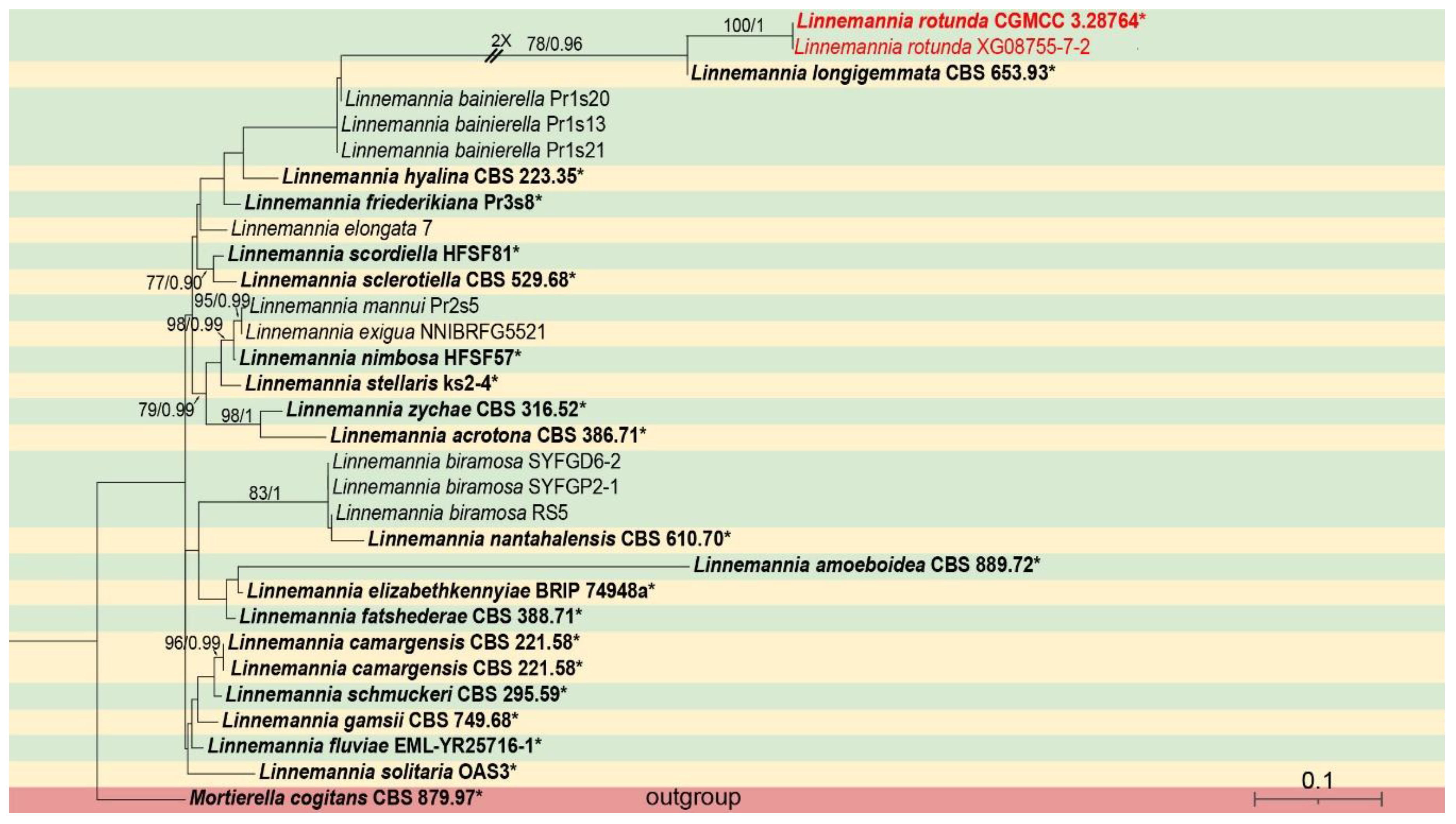 Preprints 157129 g001