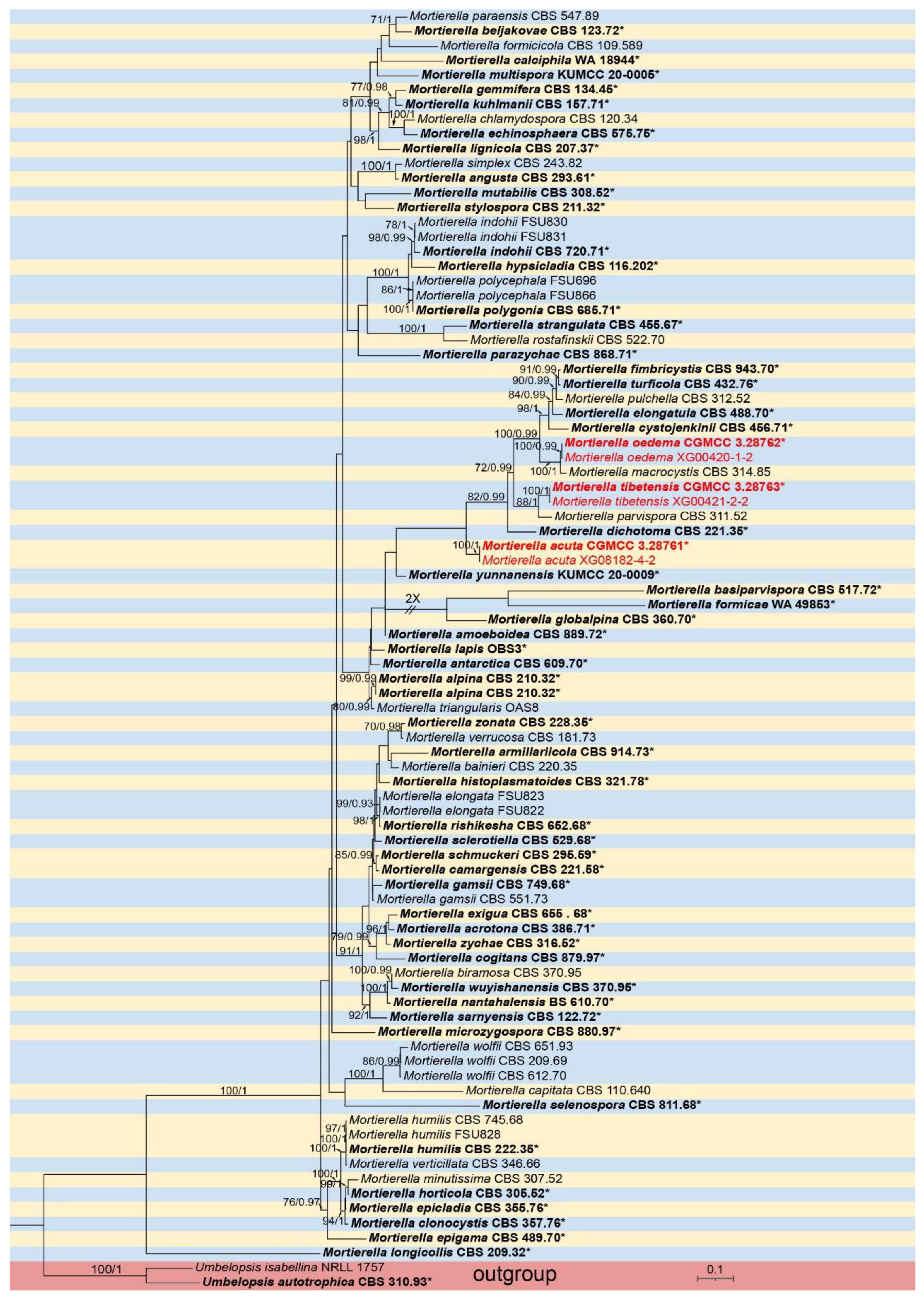 Preprints 157129 g002