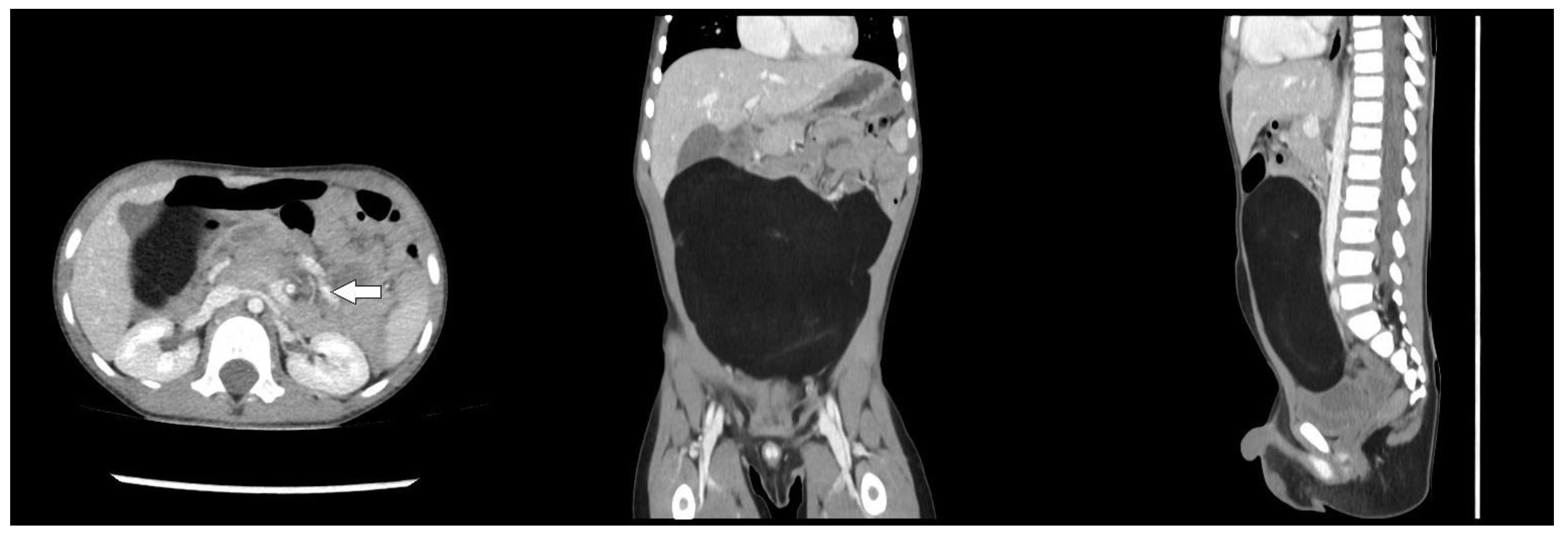 Preprints 152391 g001