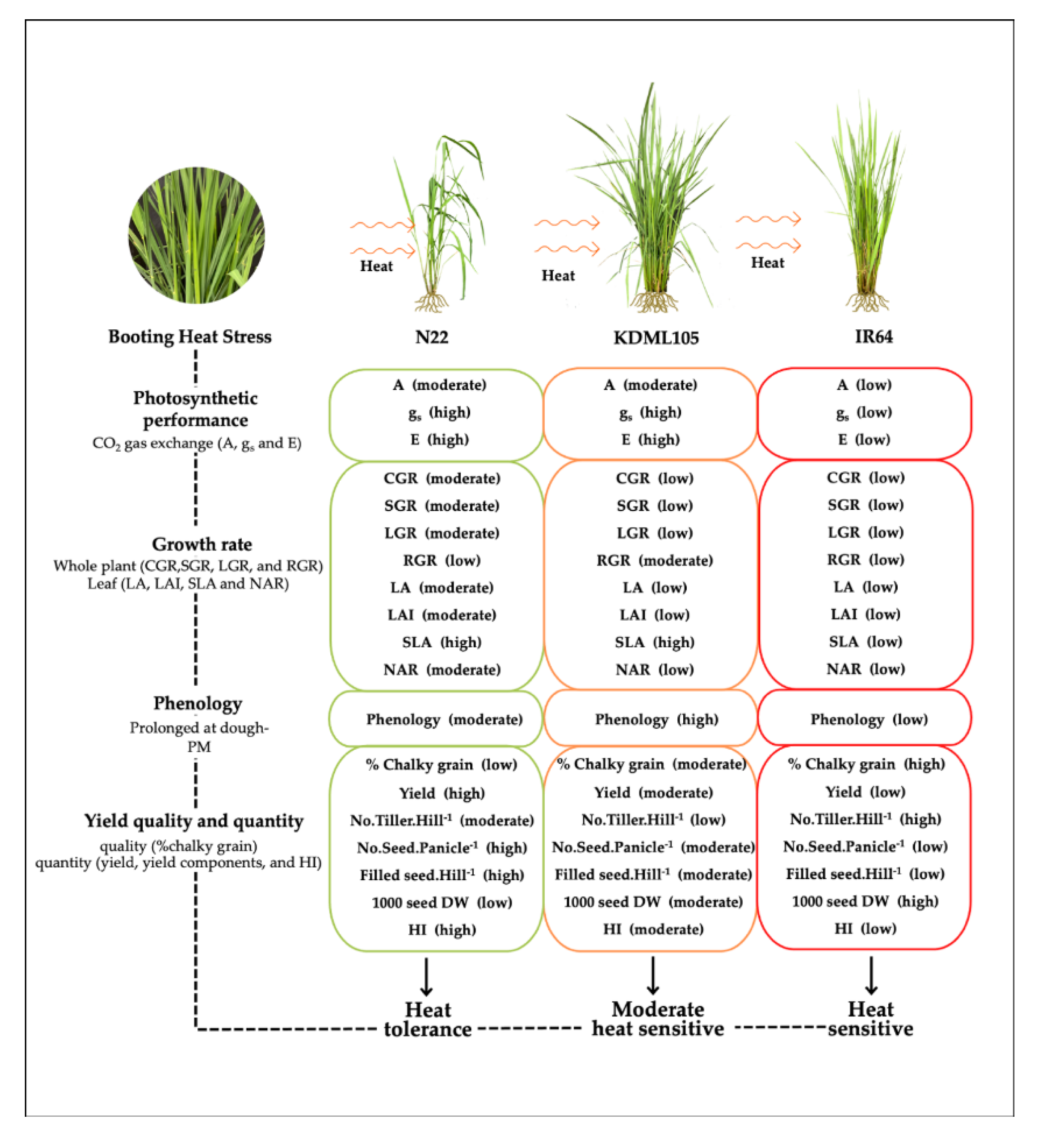 Preprints 75682 g008