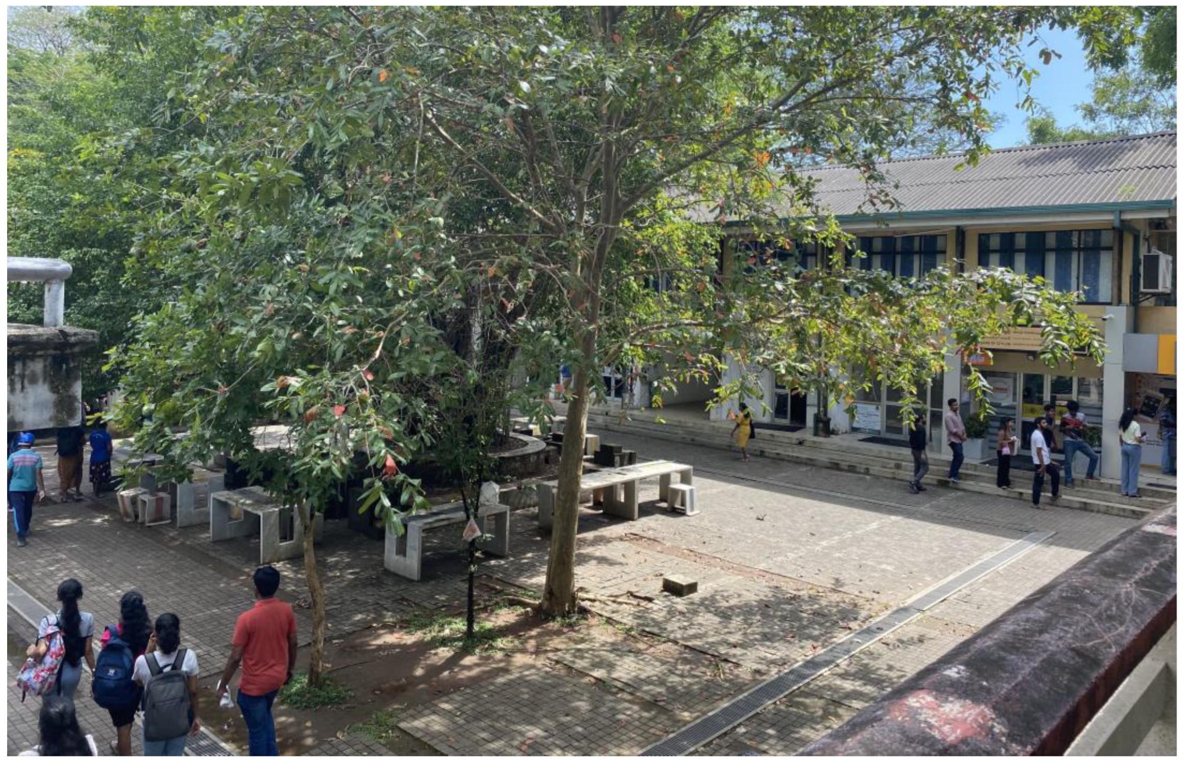 Preprints 143049 g008