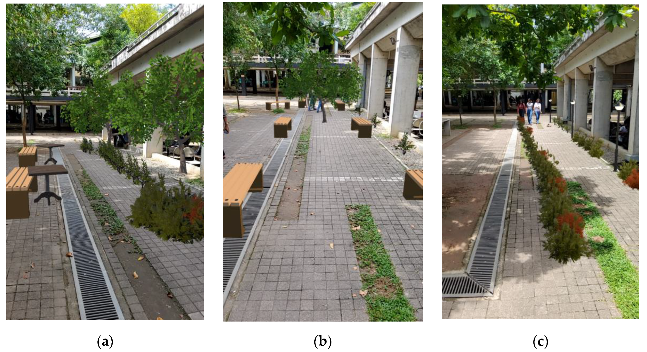 Preprints 143049 g020