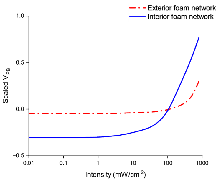 Preprints 222263 g007