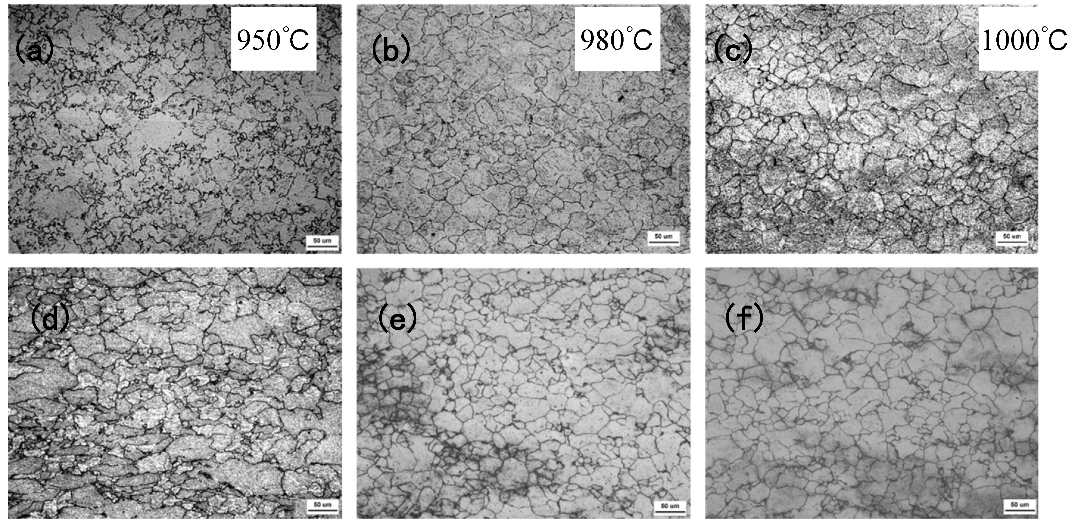 Preprints 156923 g003