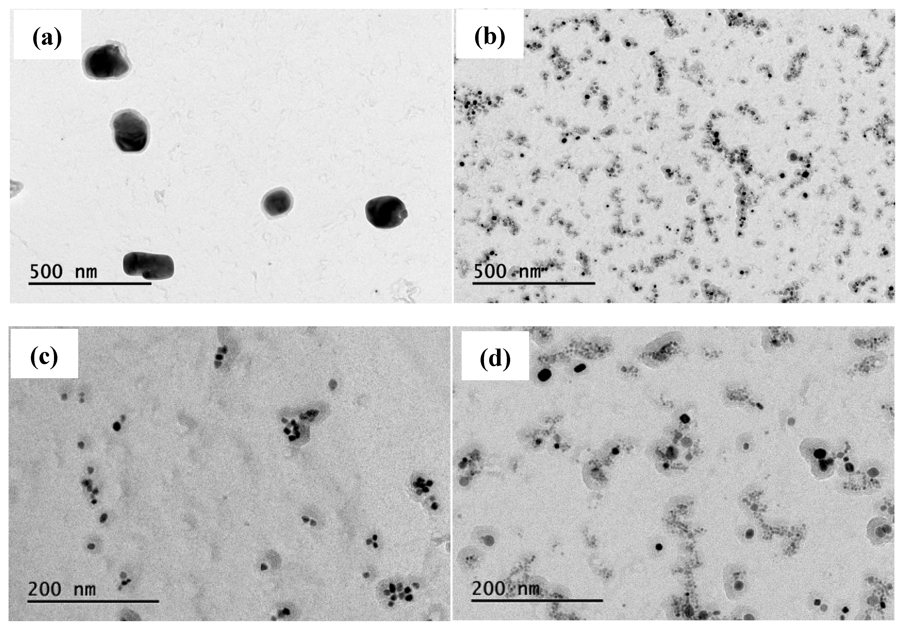 Preprints 156923 g005a
