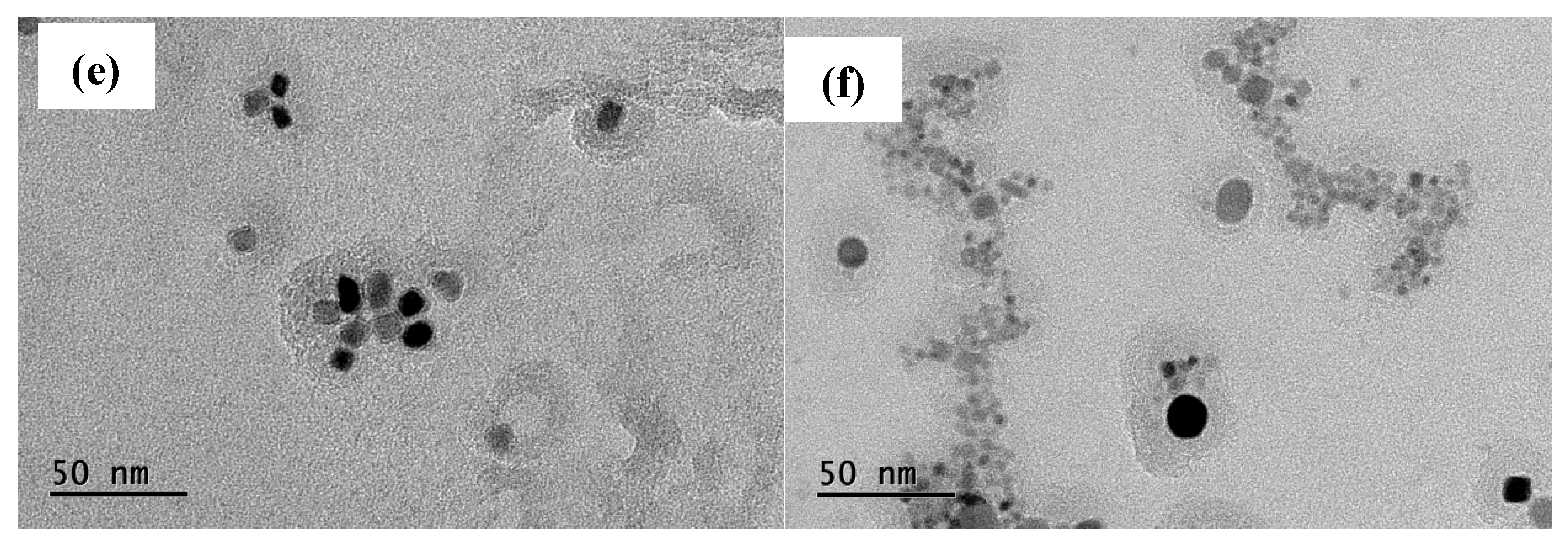 Preprints 156923 g005b