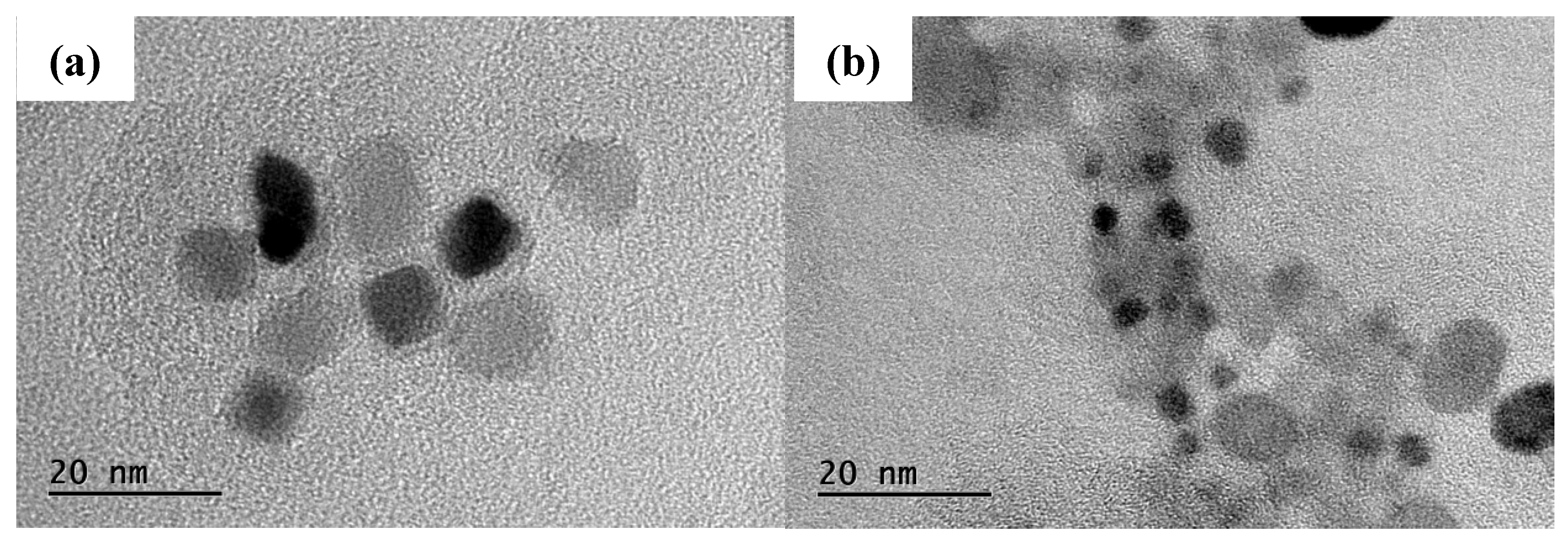 Preprints 156923 g006a