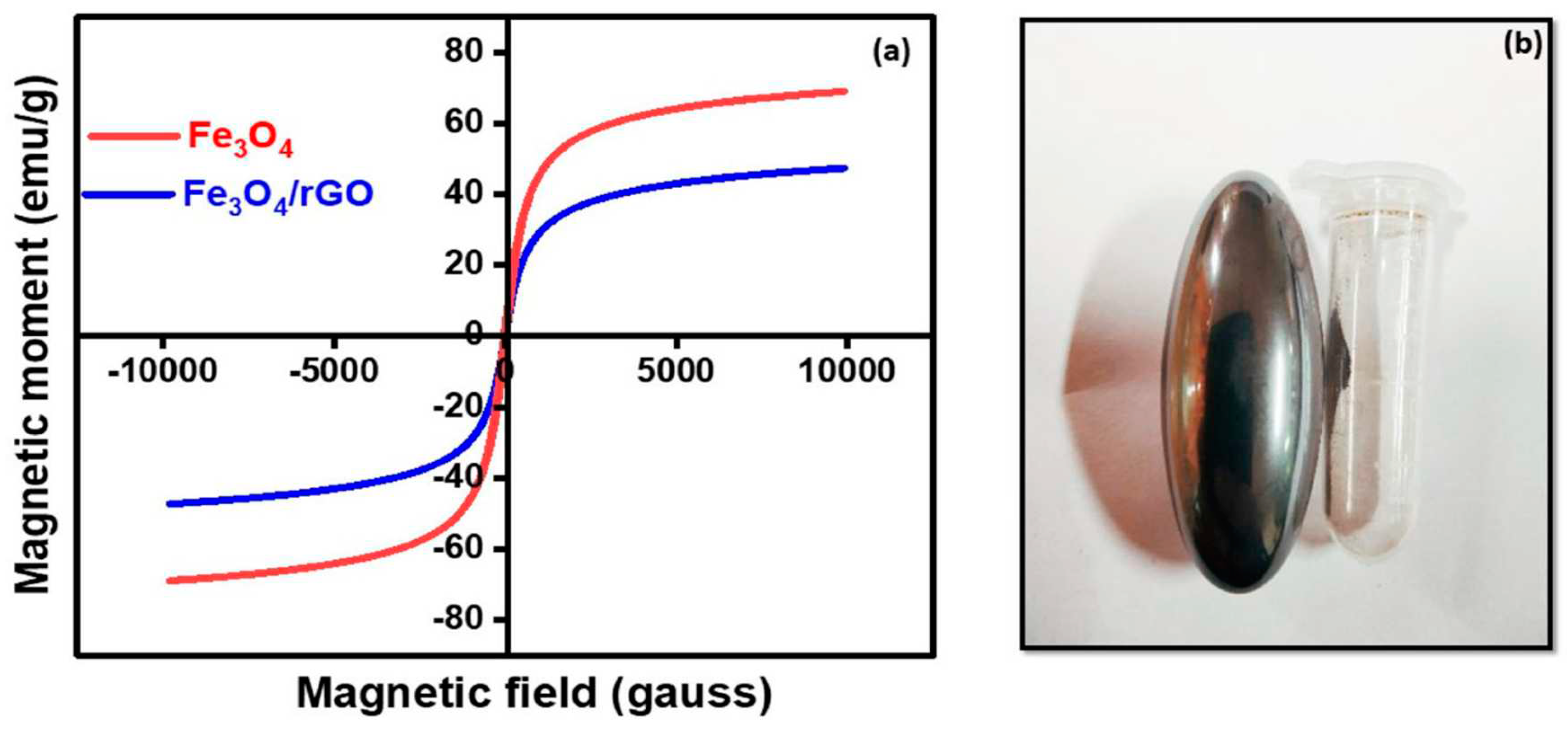 Preprints 85007 g010