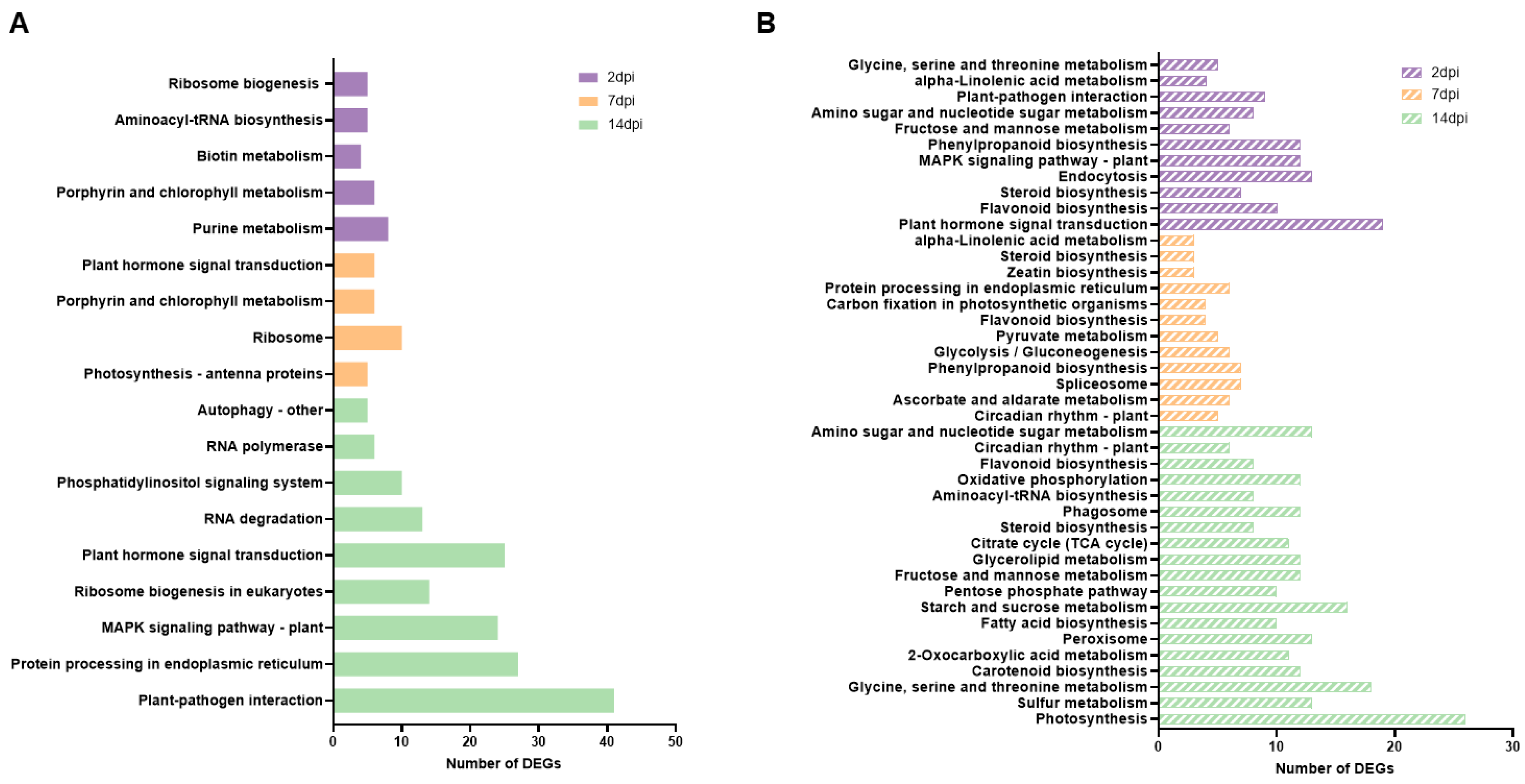 Preprints 89375 g003