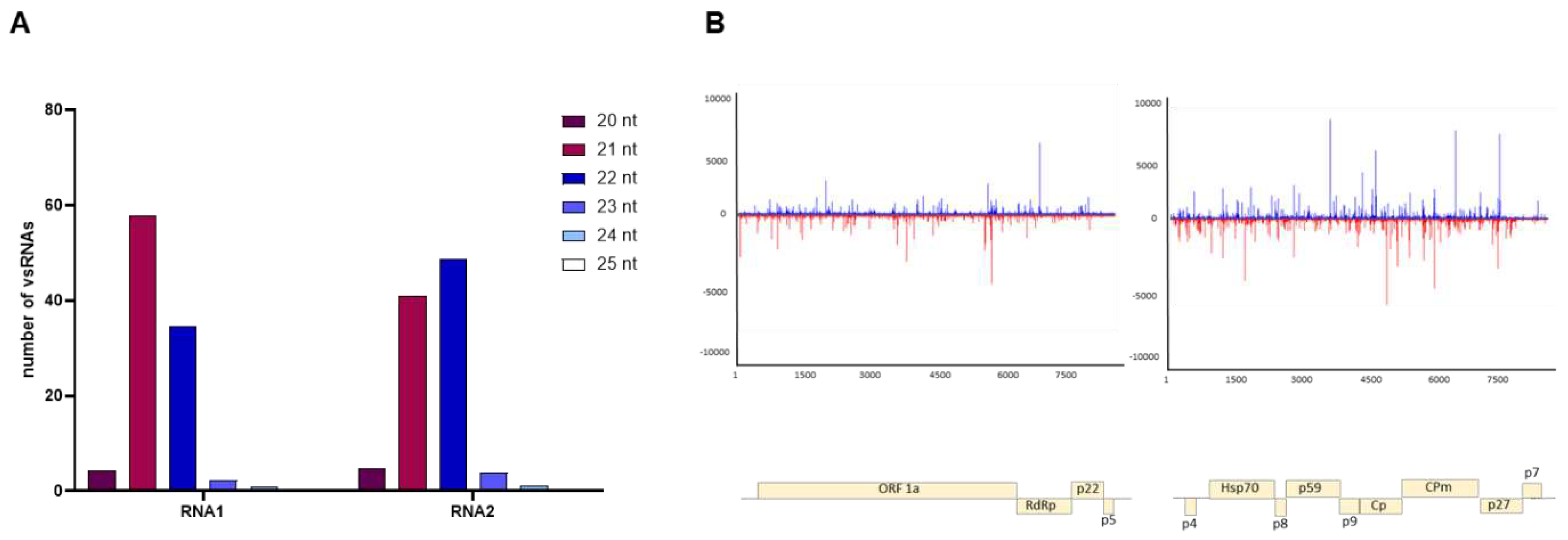 Preprints 89375 g004