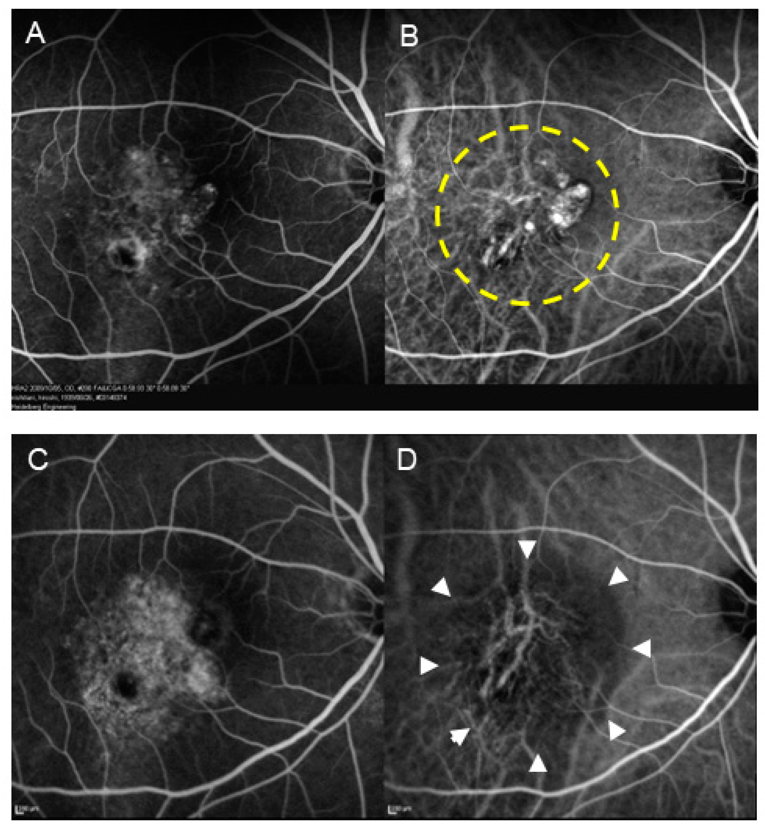 Preprints 143266 g002