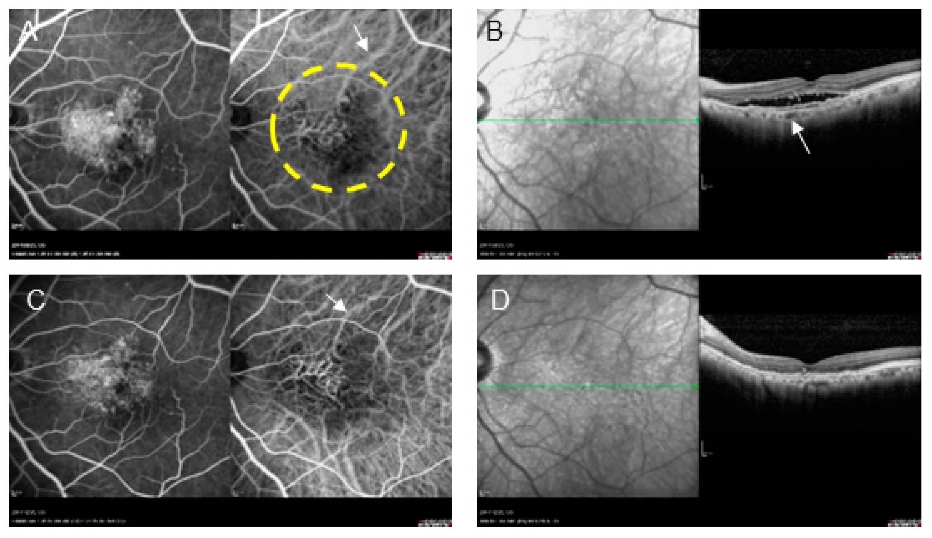 Preprints 143266 g003