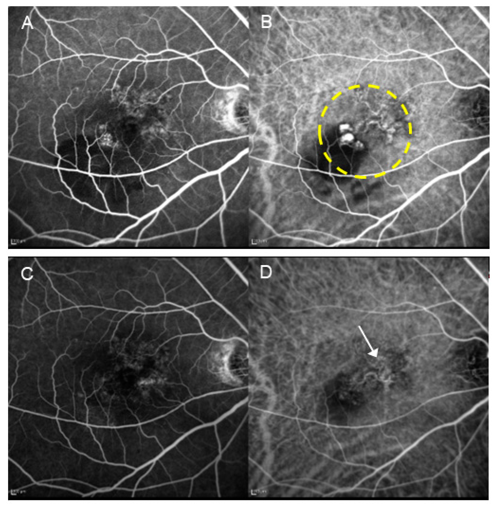 Preprints 143266 g005