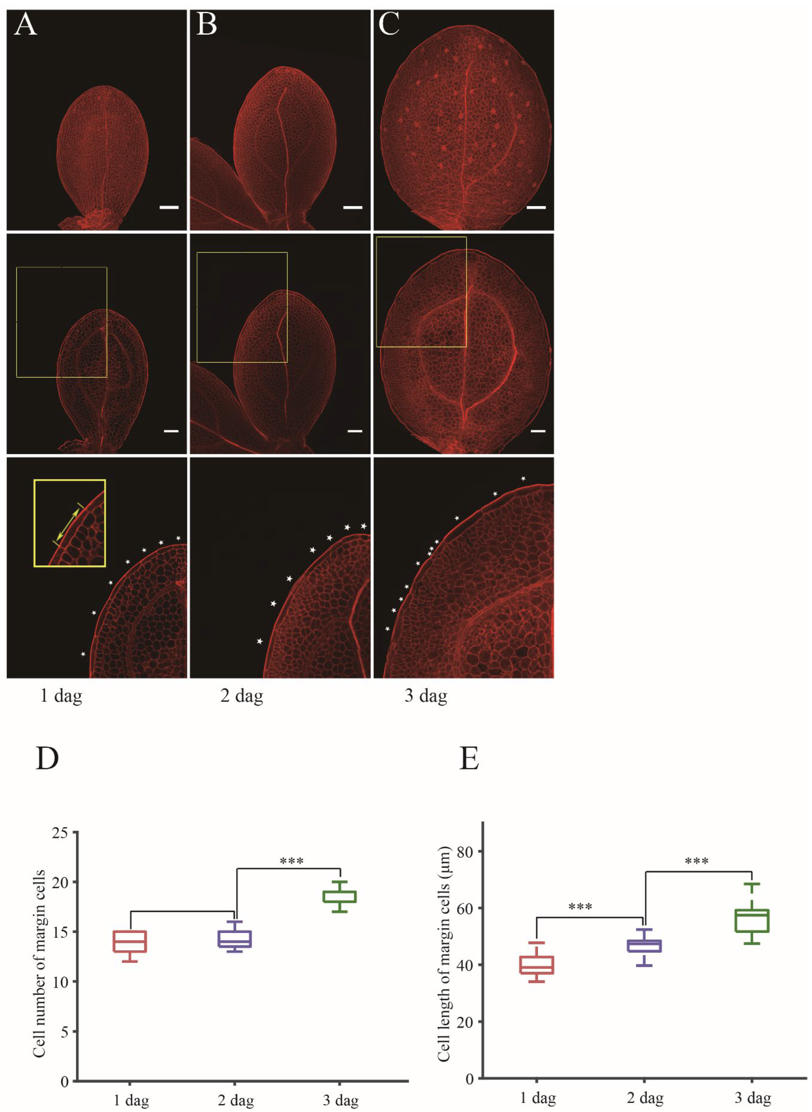 Preprints 154371 g001