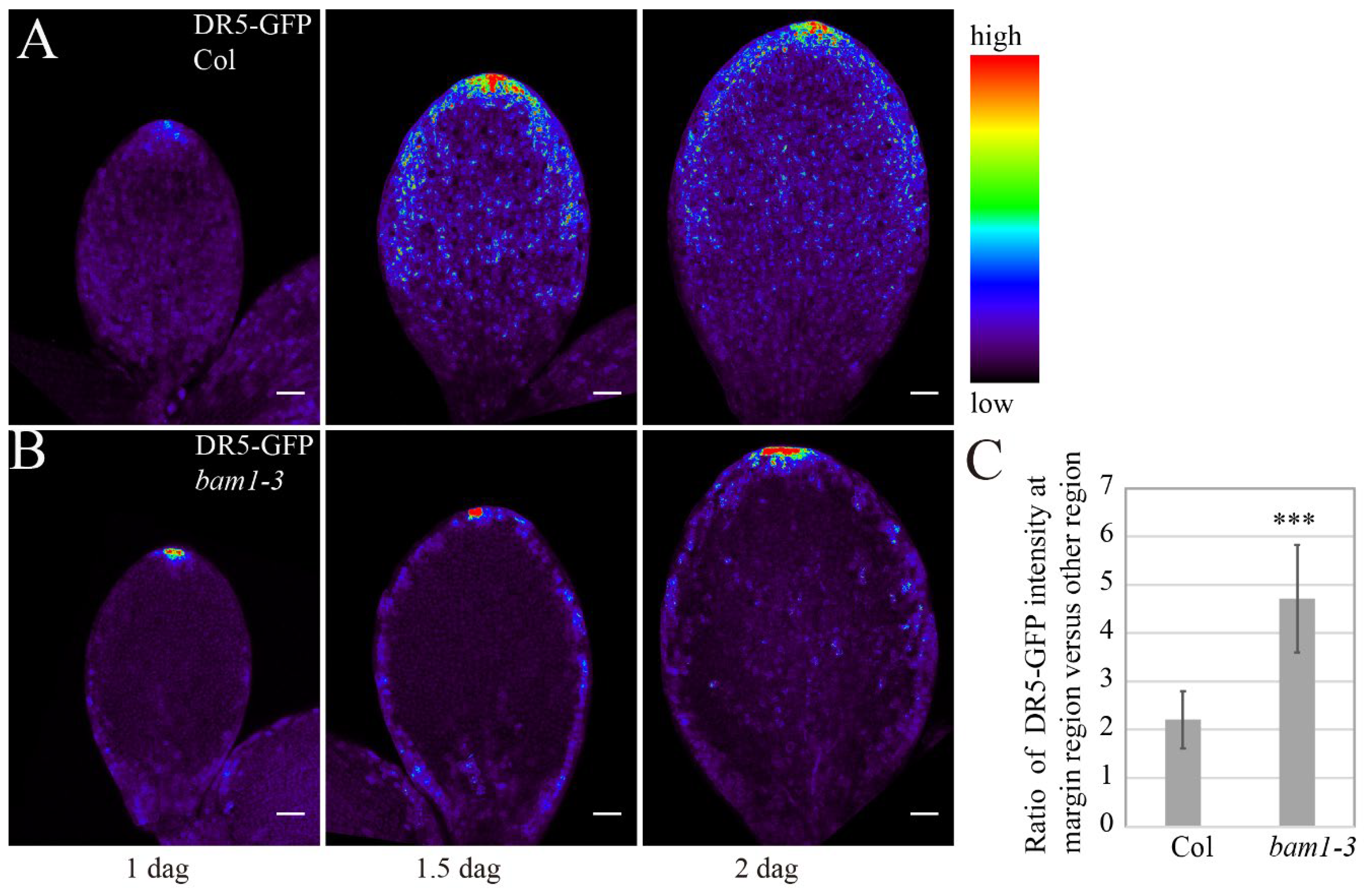 Preprints 154371 g003