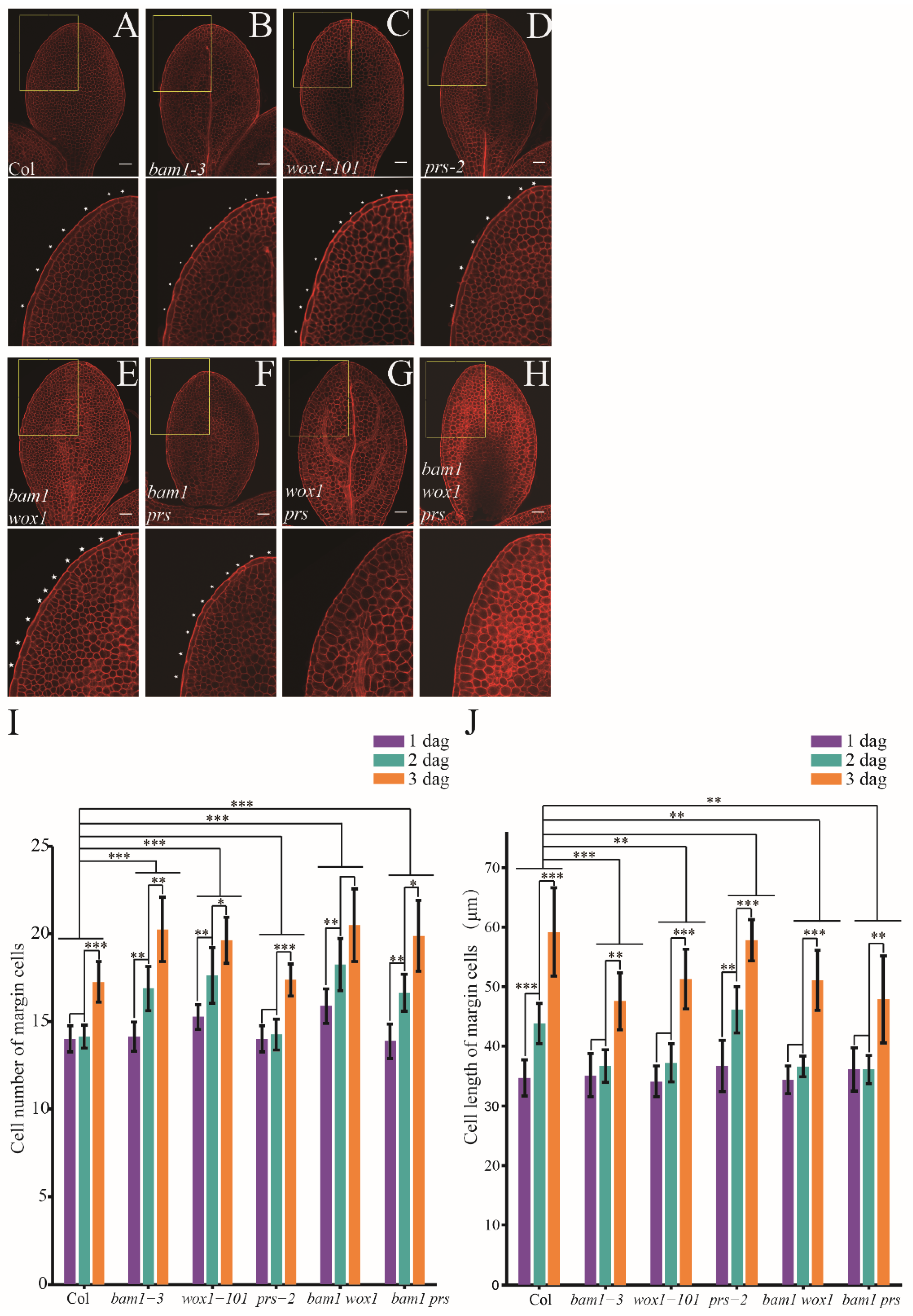 Preprints 154371 g004