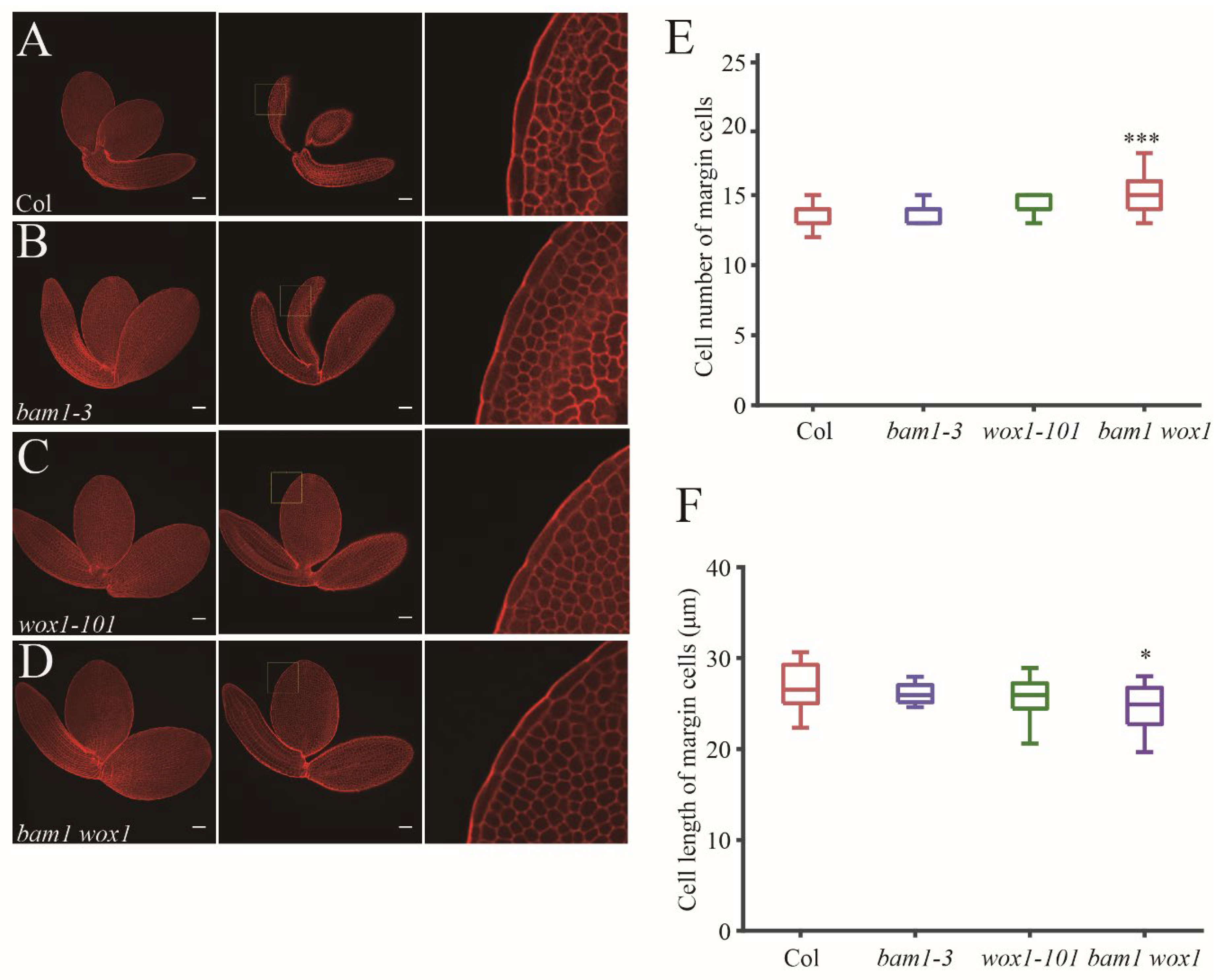 Preprints 154371 g005