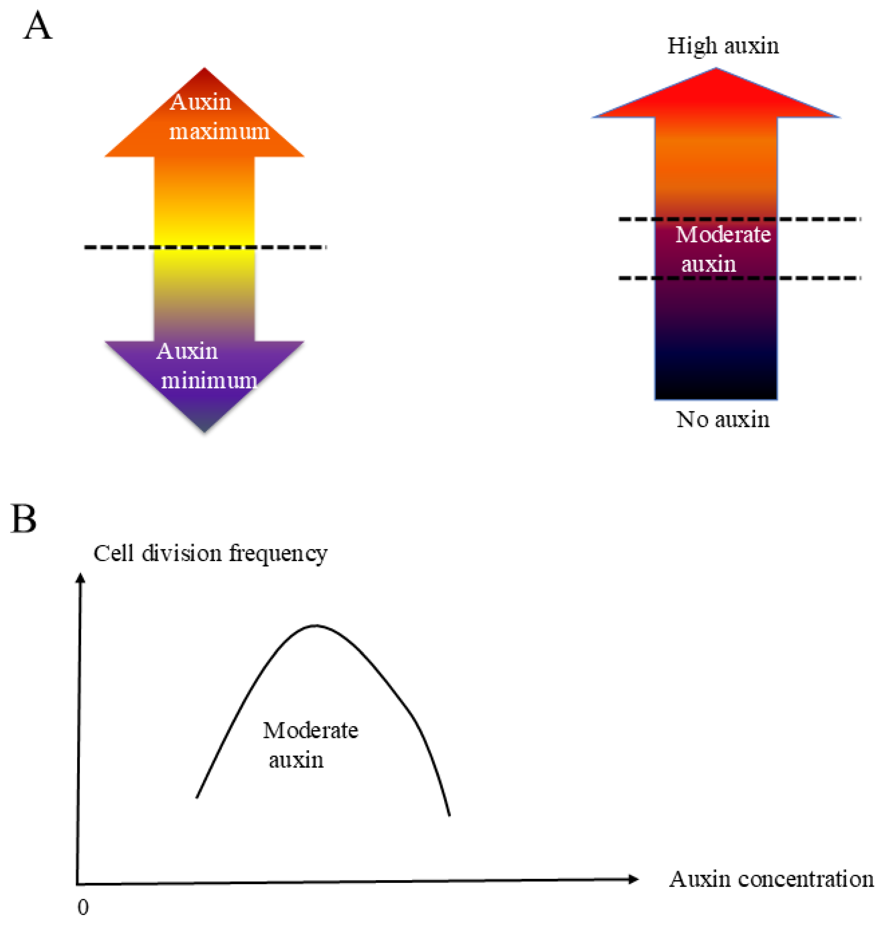 Preprints 154371 g006