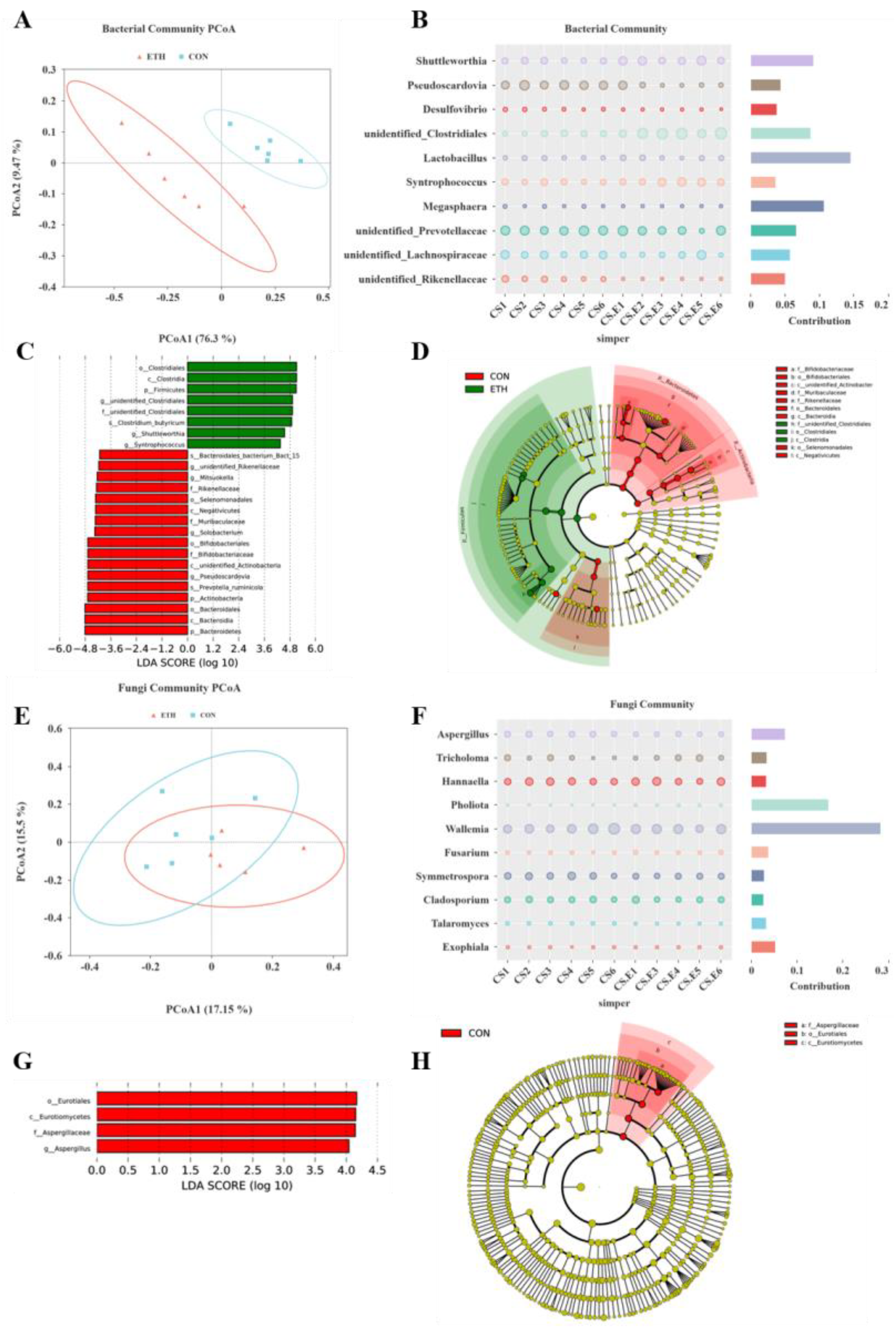 Preprints 159438 g004