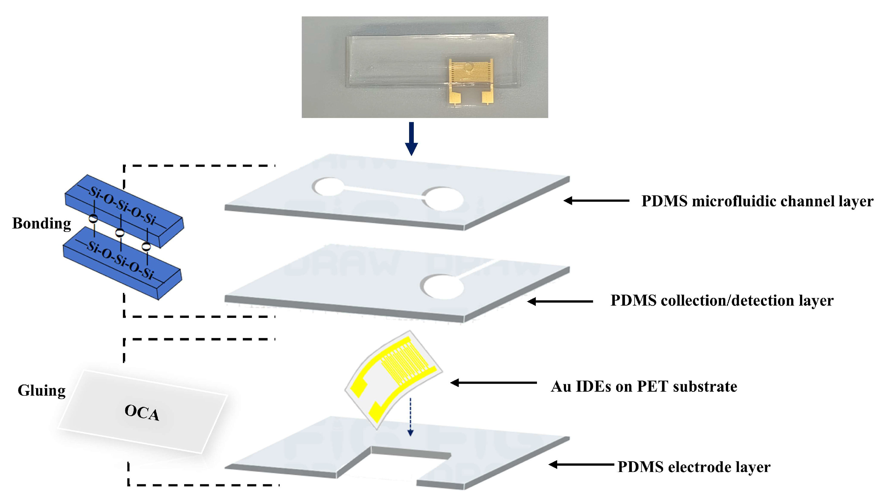 Preprints 217101 g008