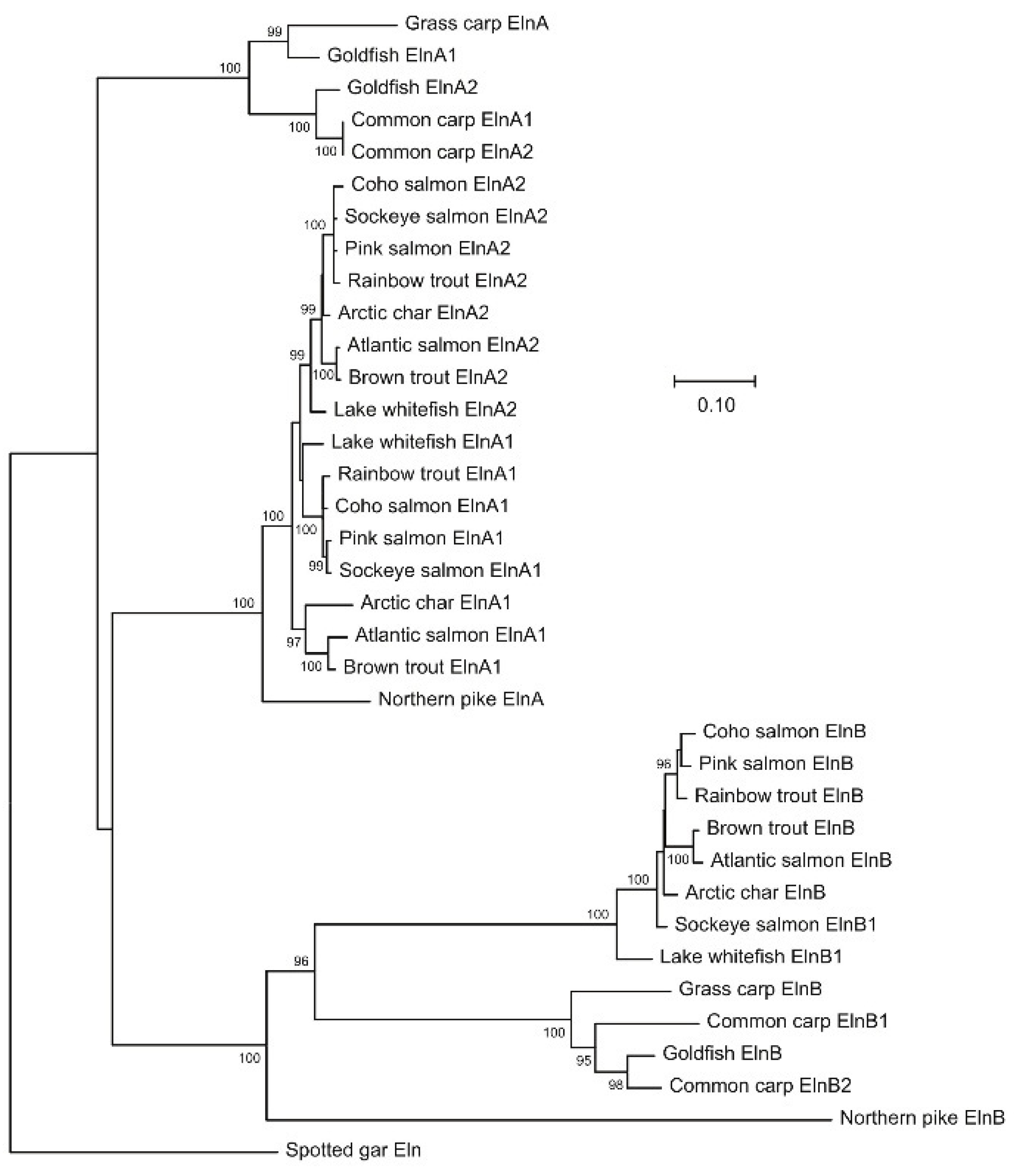 Preprints 184670 g001