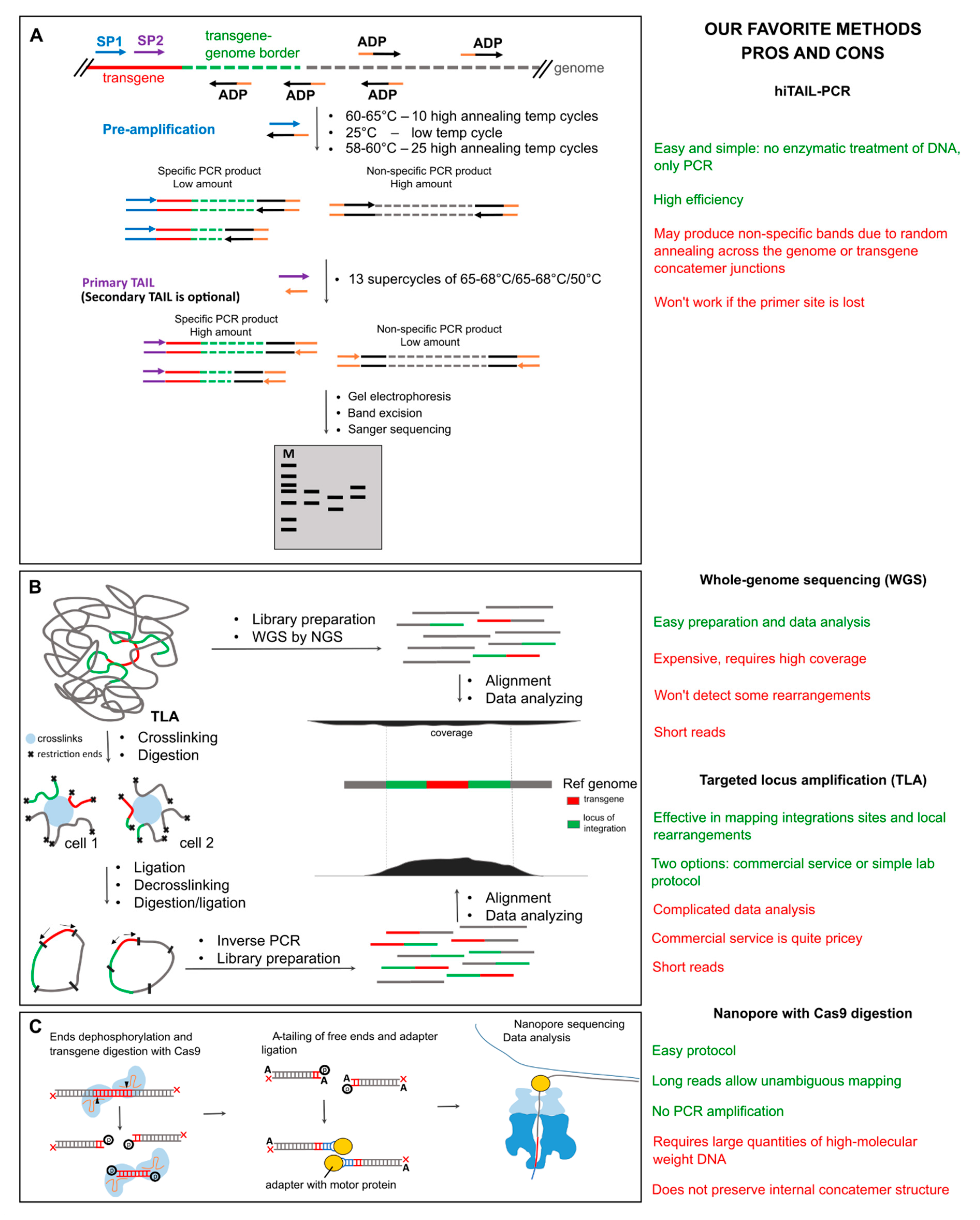 Preprints 158823 g002