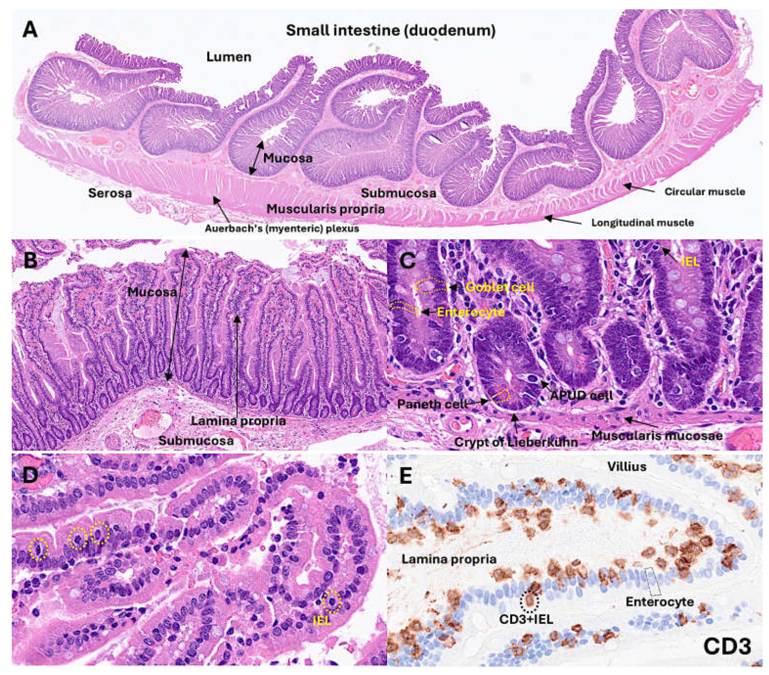 Preprints 156696 g001