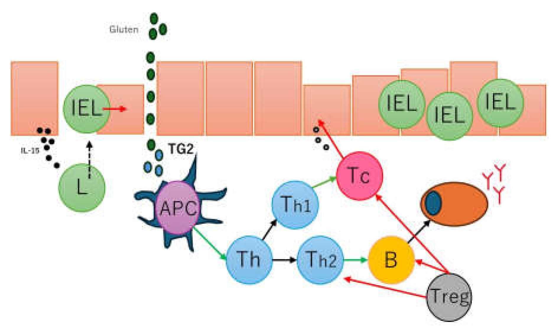 Preprints 156696 g002