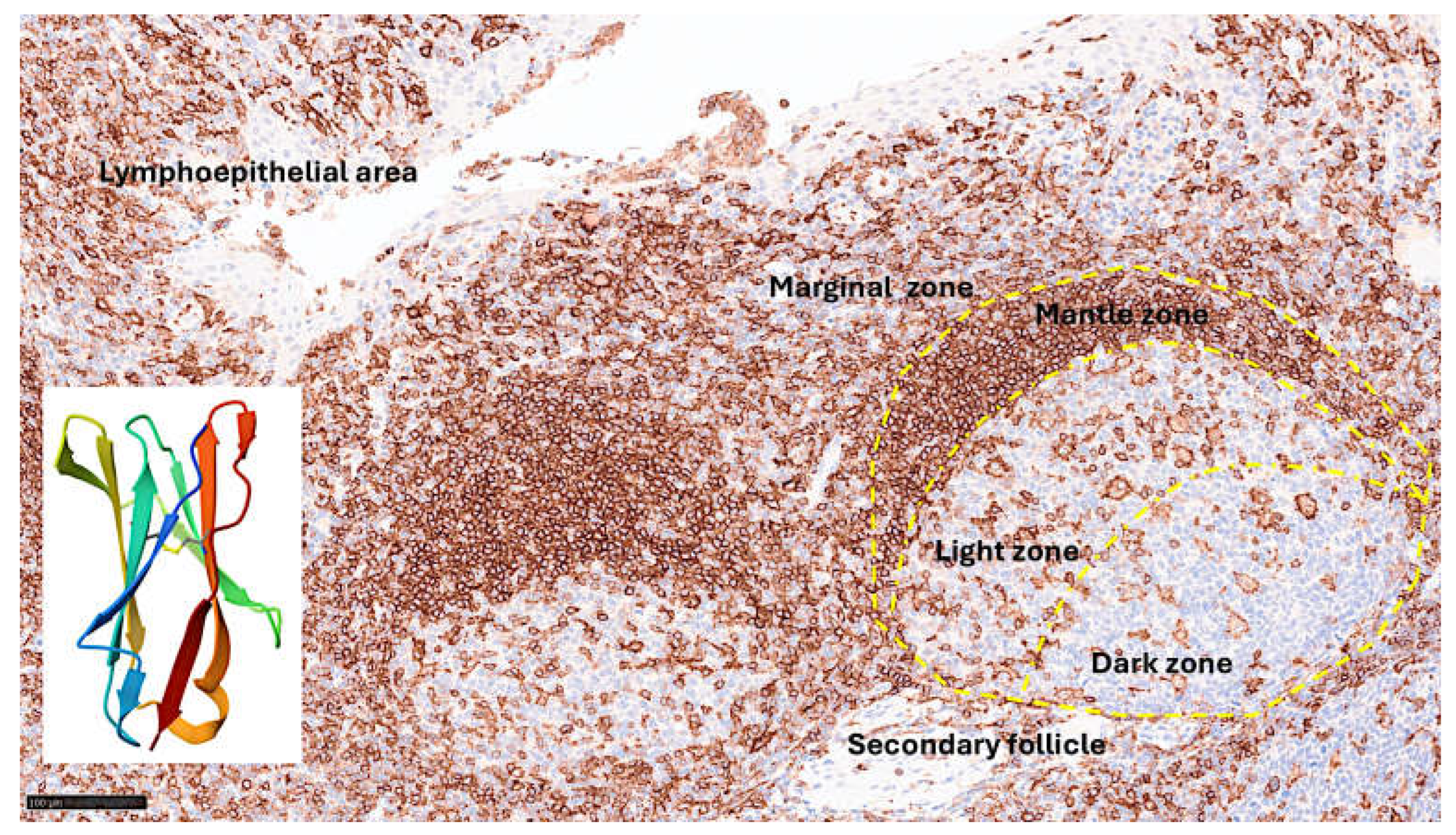 Preprints 156696 g003