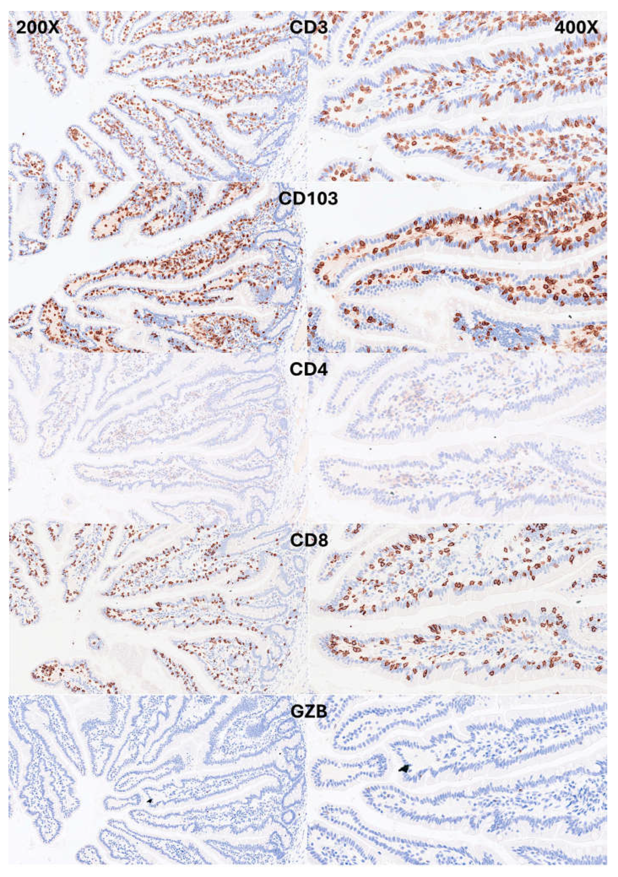 Preprints 156696 g004