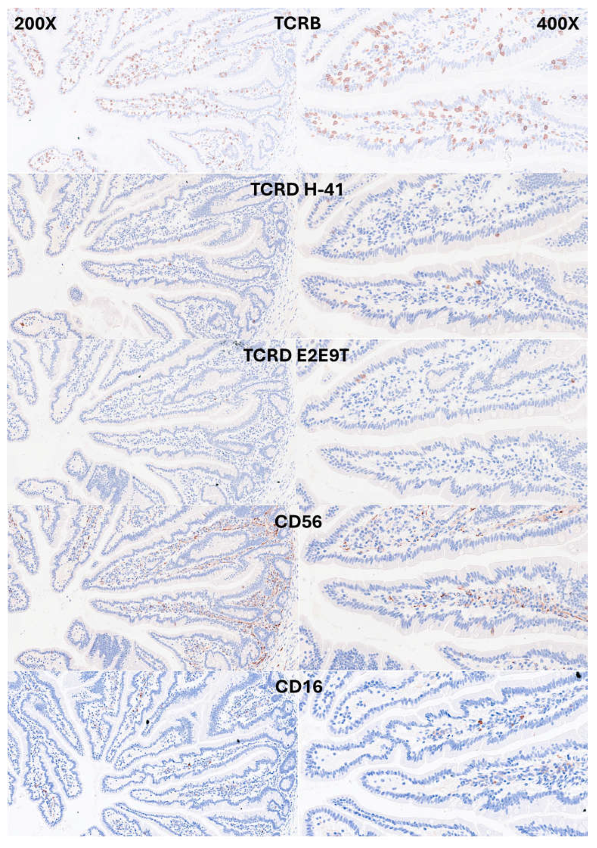 Preprints 156696 g005
