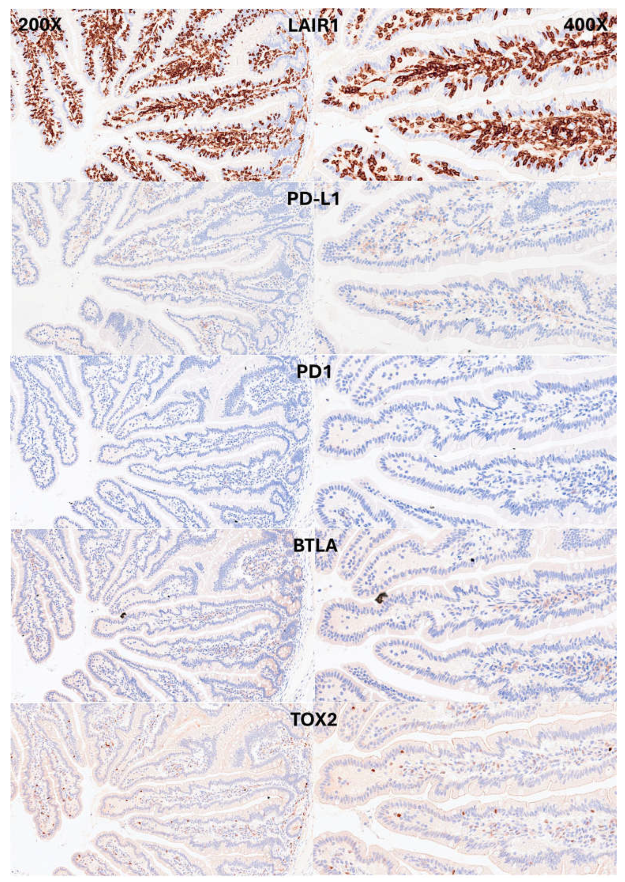Preprints 156696 g006
