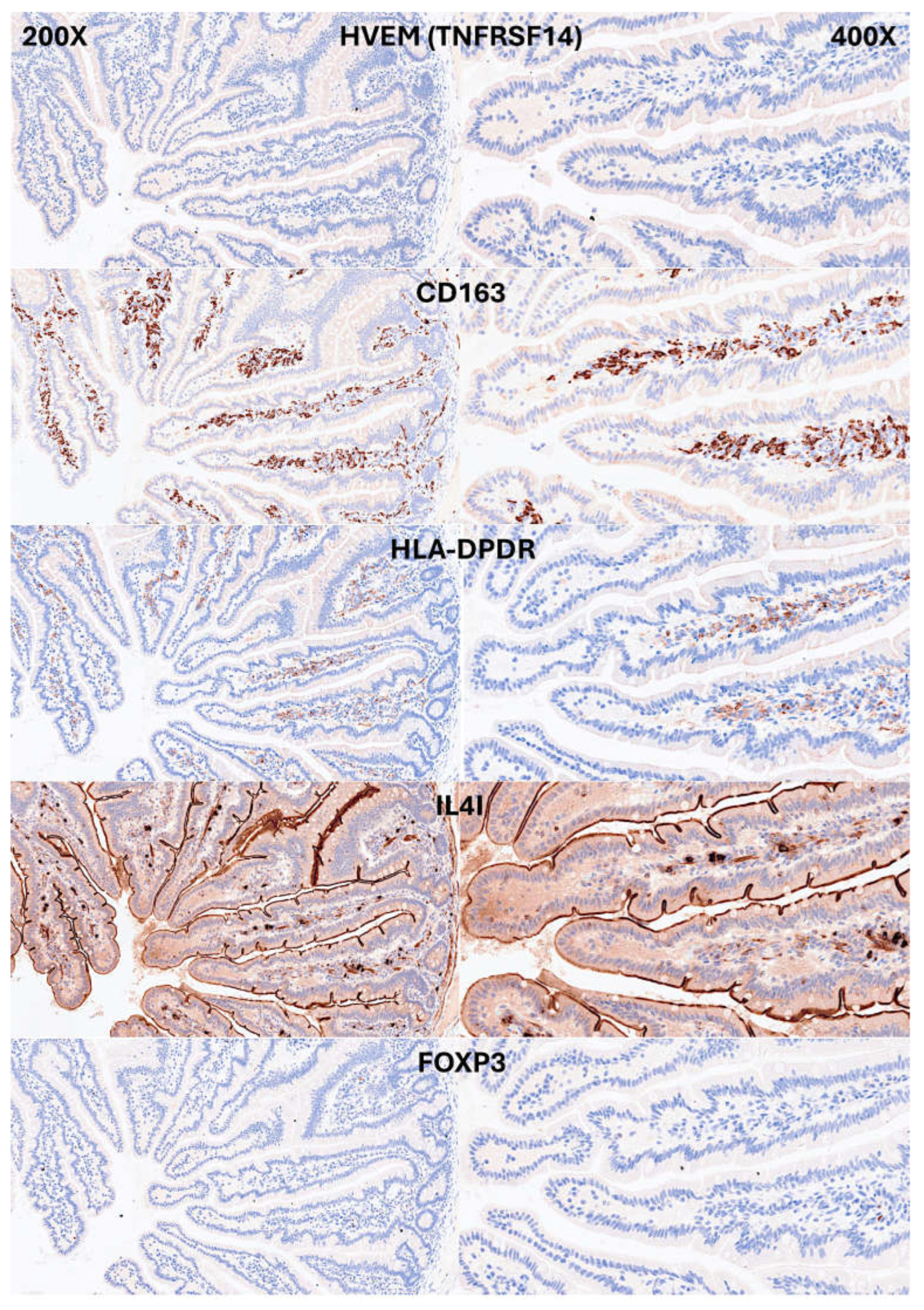 Preprints 156696 g007