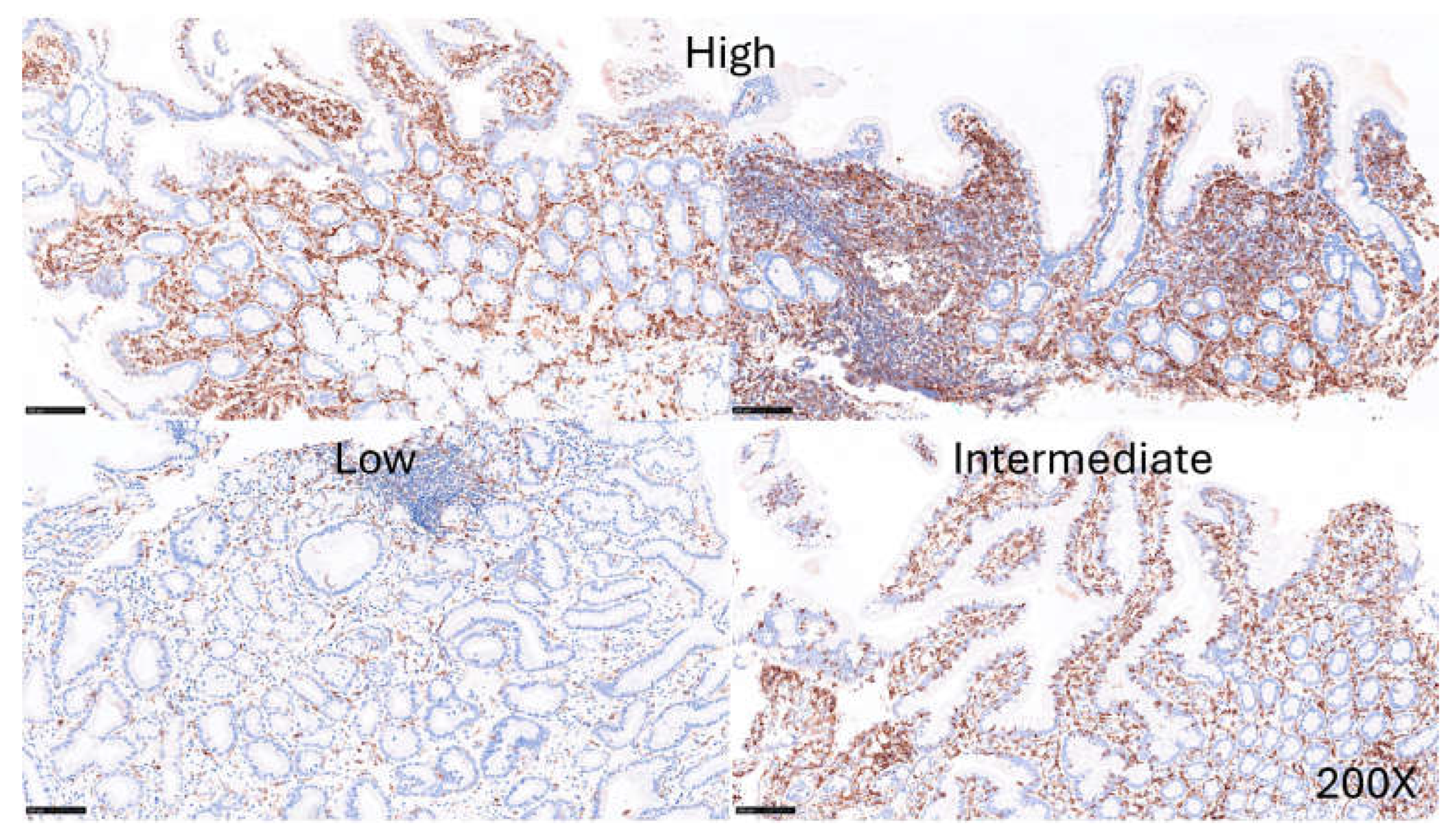 Preprints 156696 g009