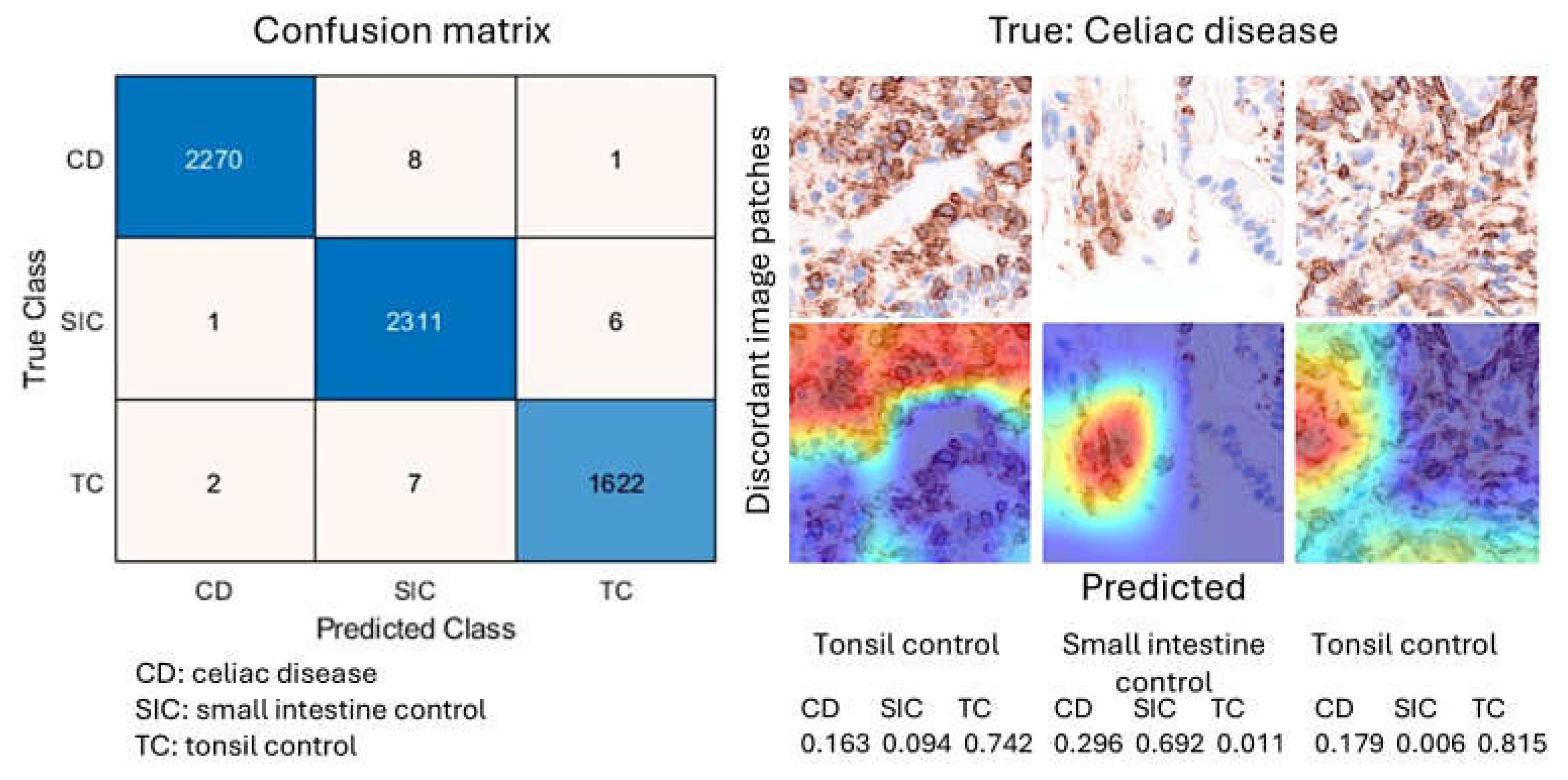 Preprints 156696 g010