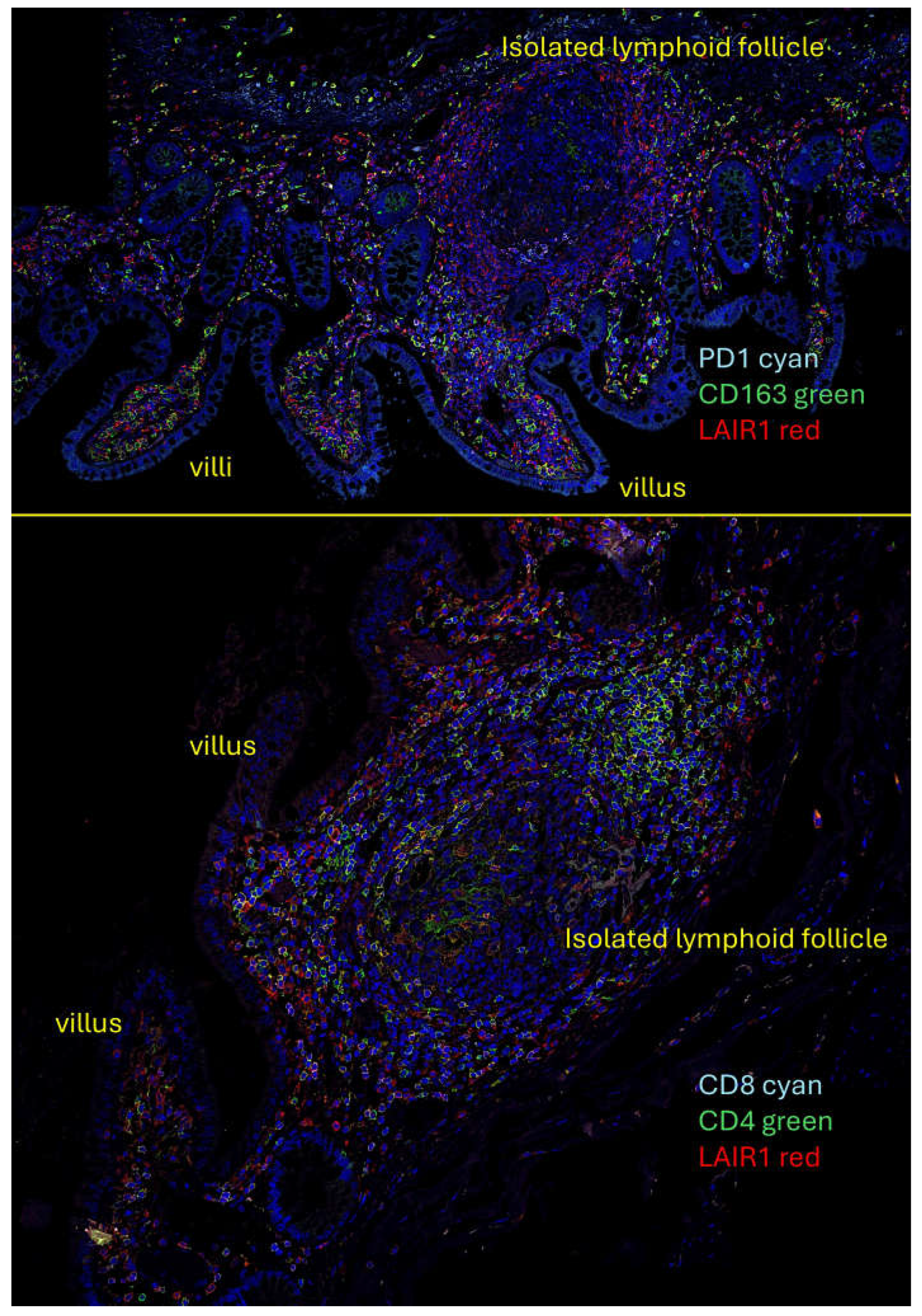 Preprints 156696 g0a1