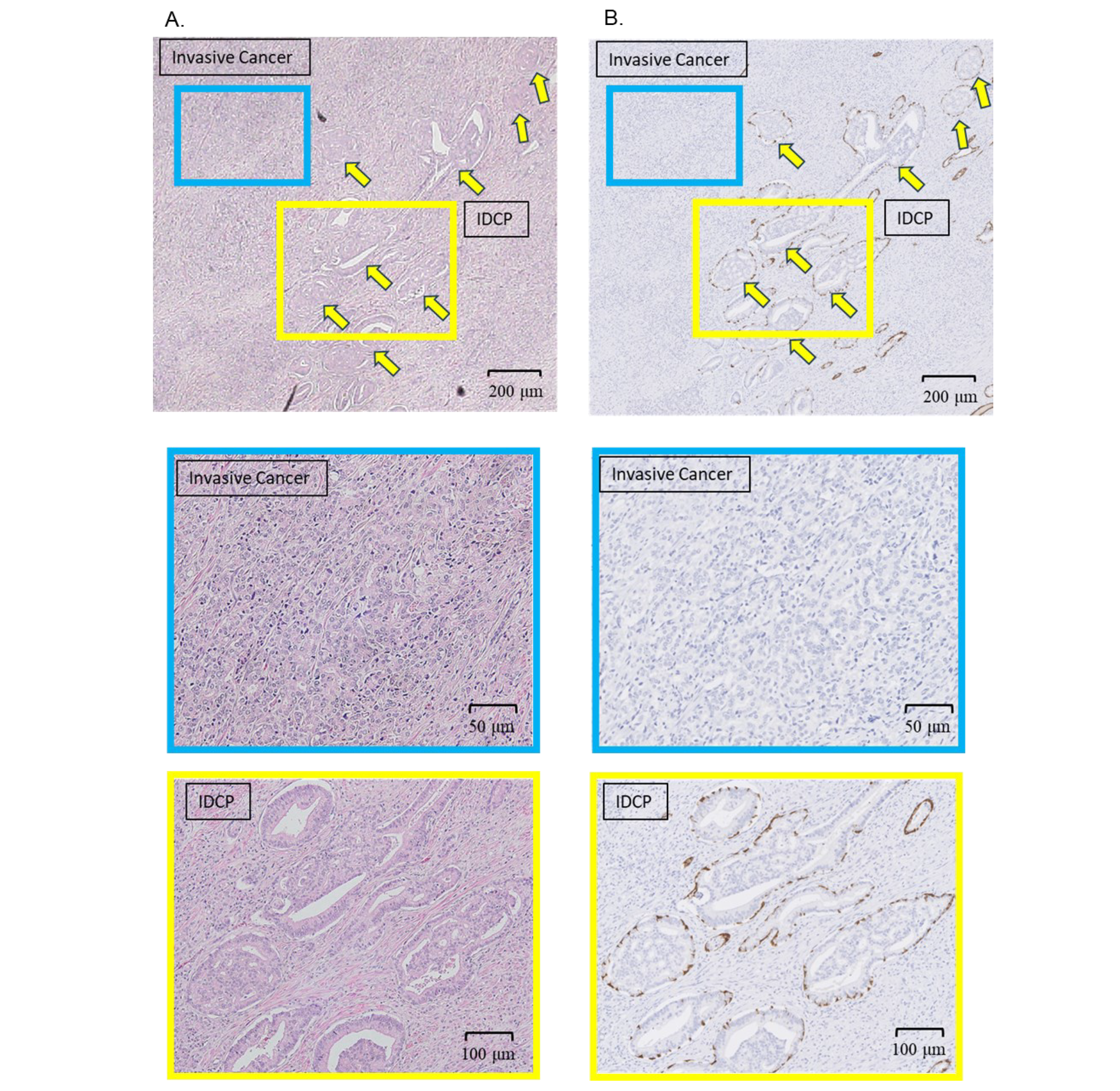 Preprints 101507 g001a
