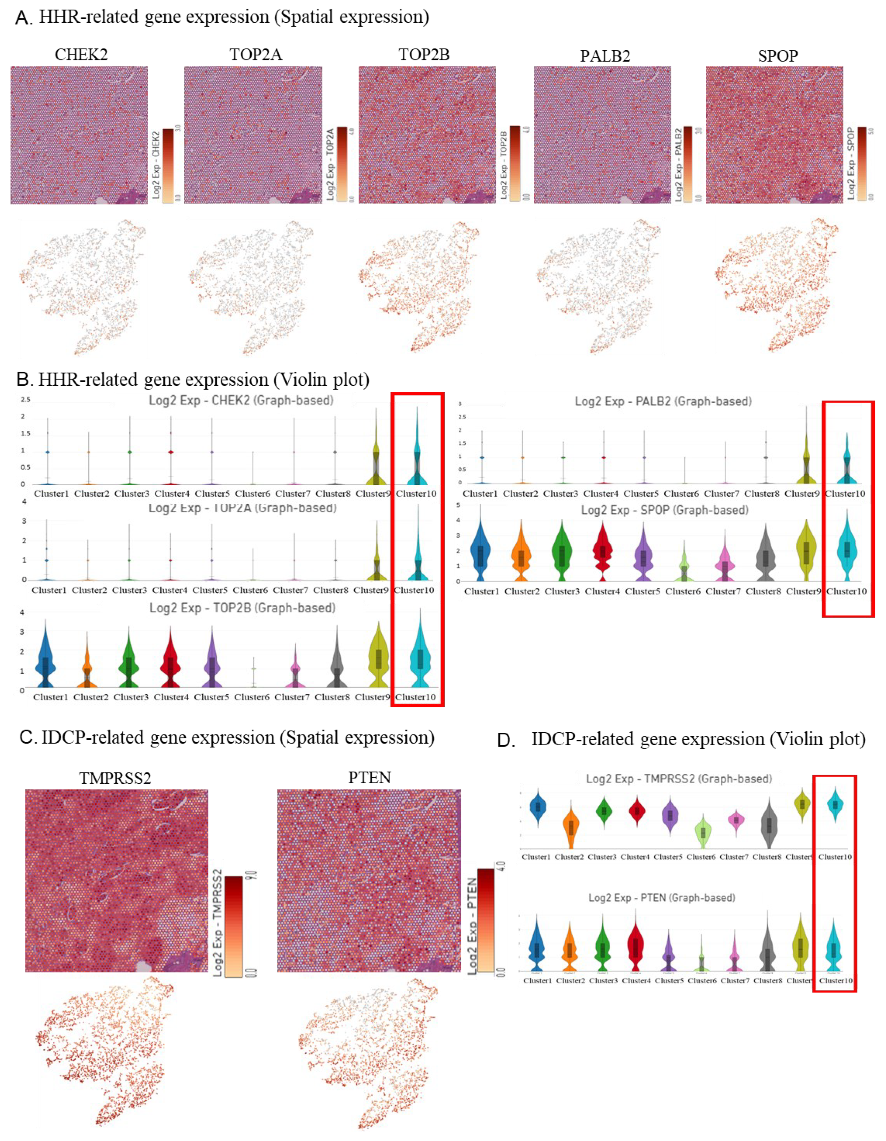 Preprints 101507 g003