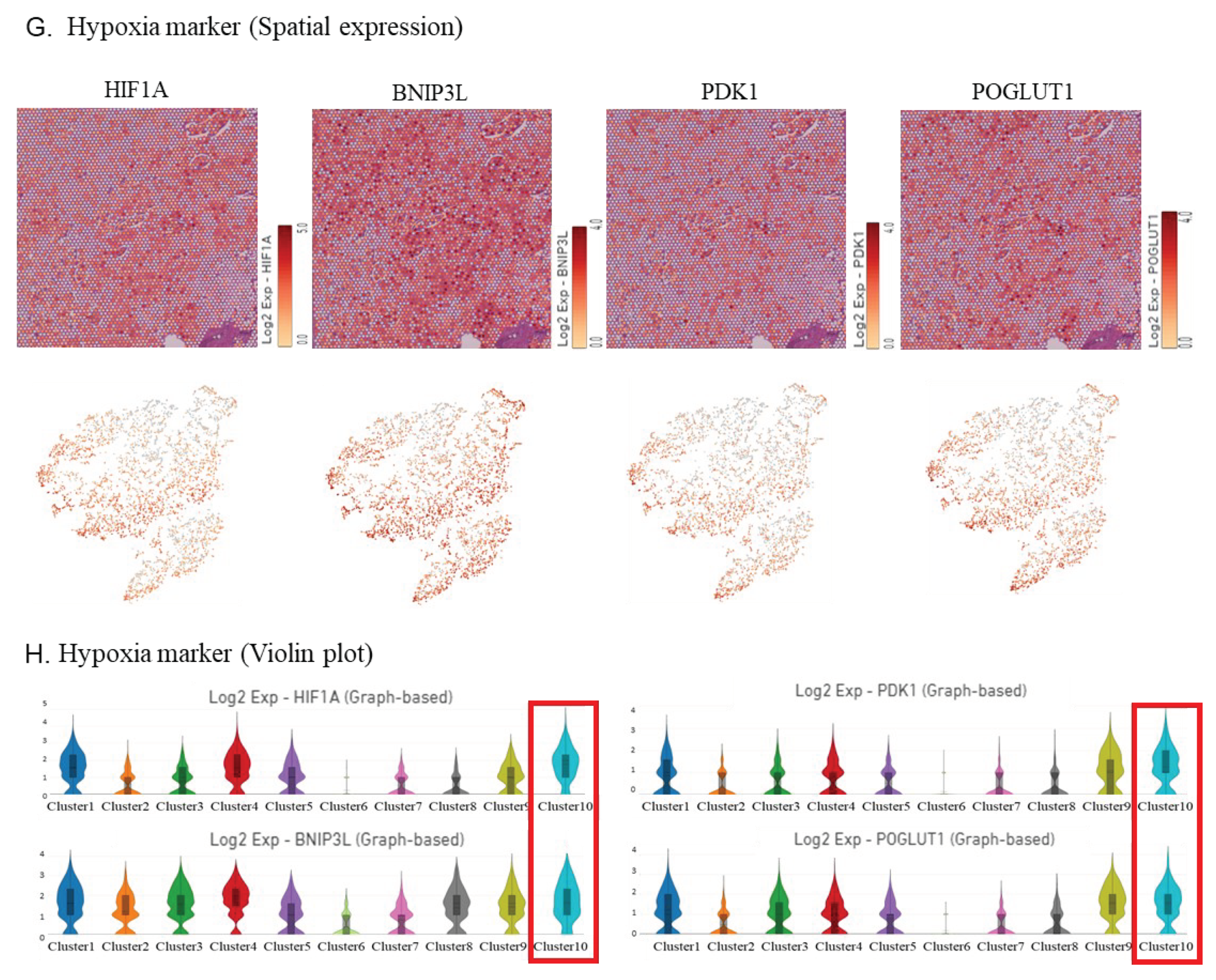 Preprints 101507 g004b
