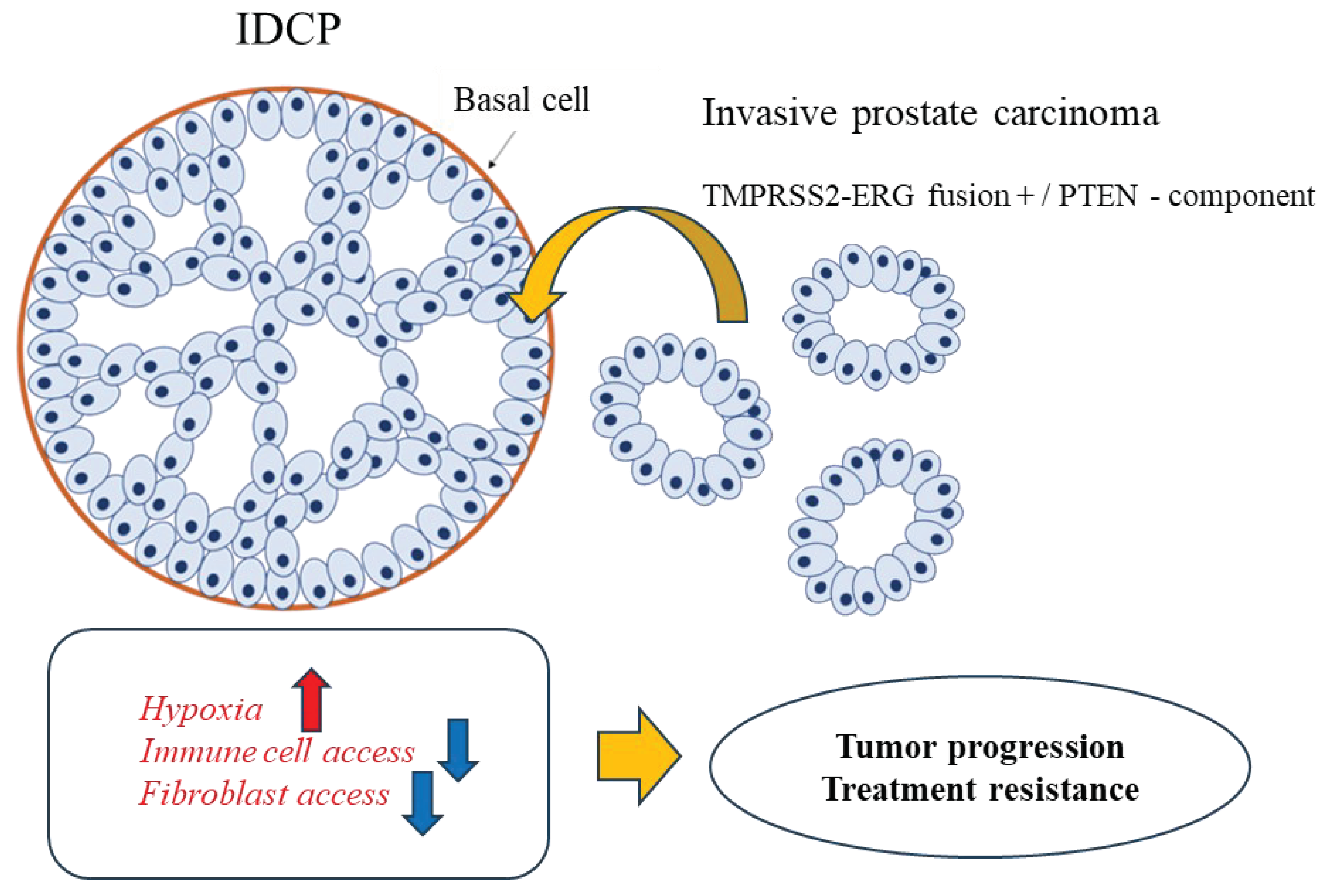 Preprints 101507 g005
