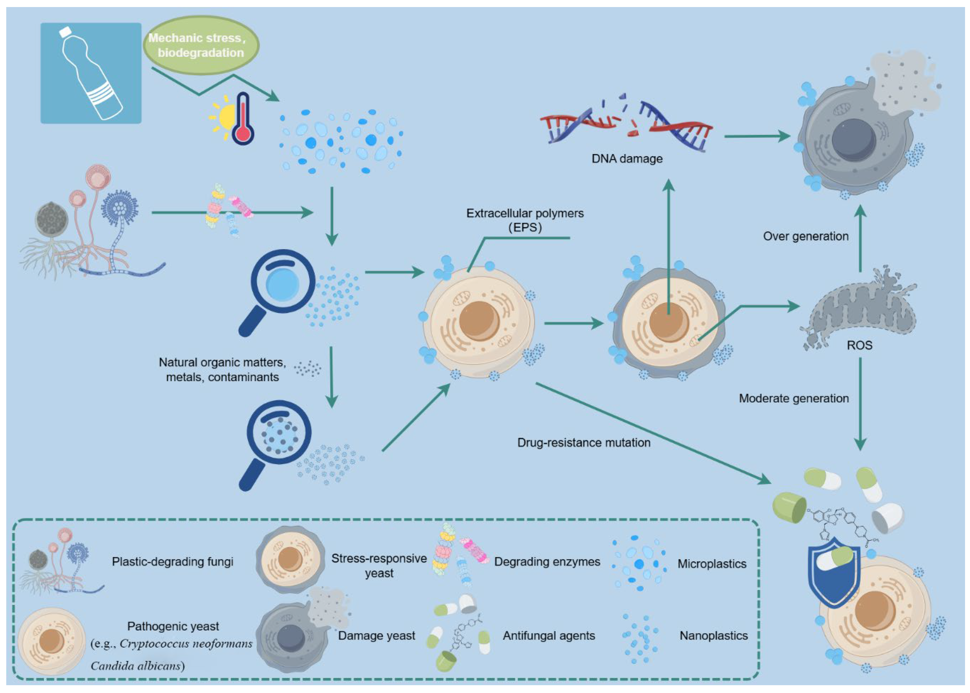 Preprints 154391 g001